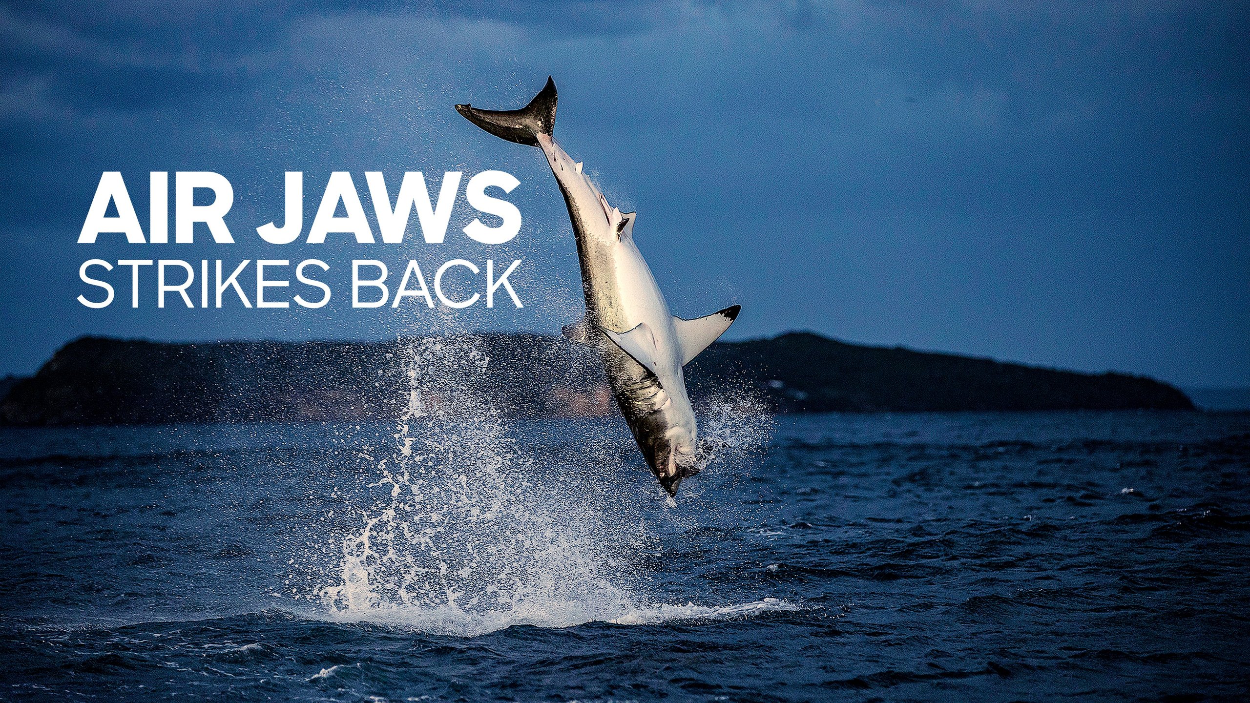 1. Air Jaws Strikes Back