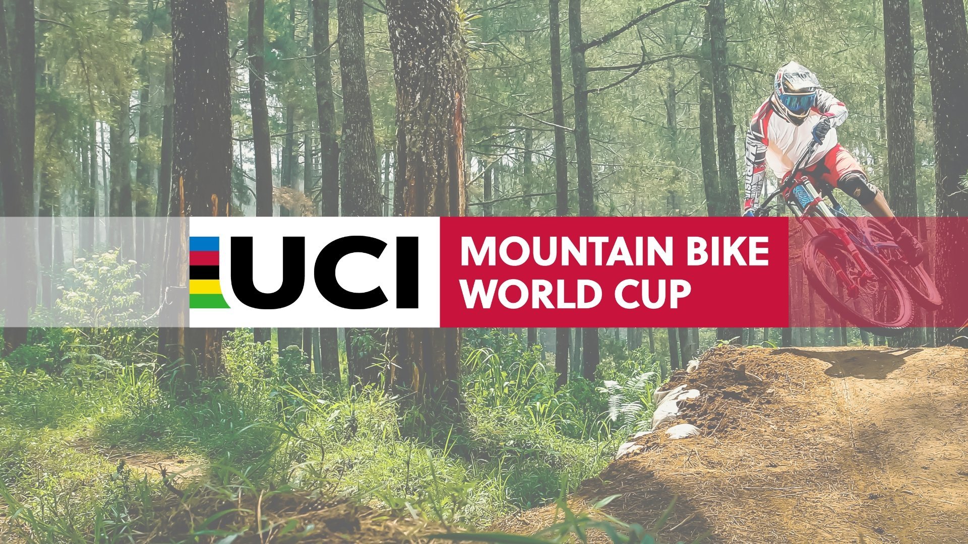 UCI Mountain Bike World Series