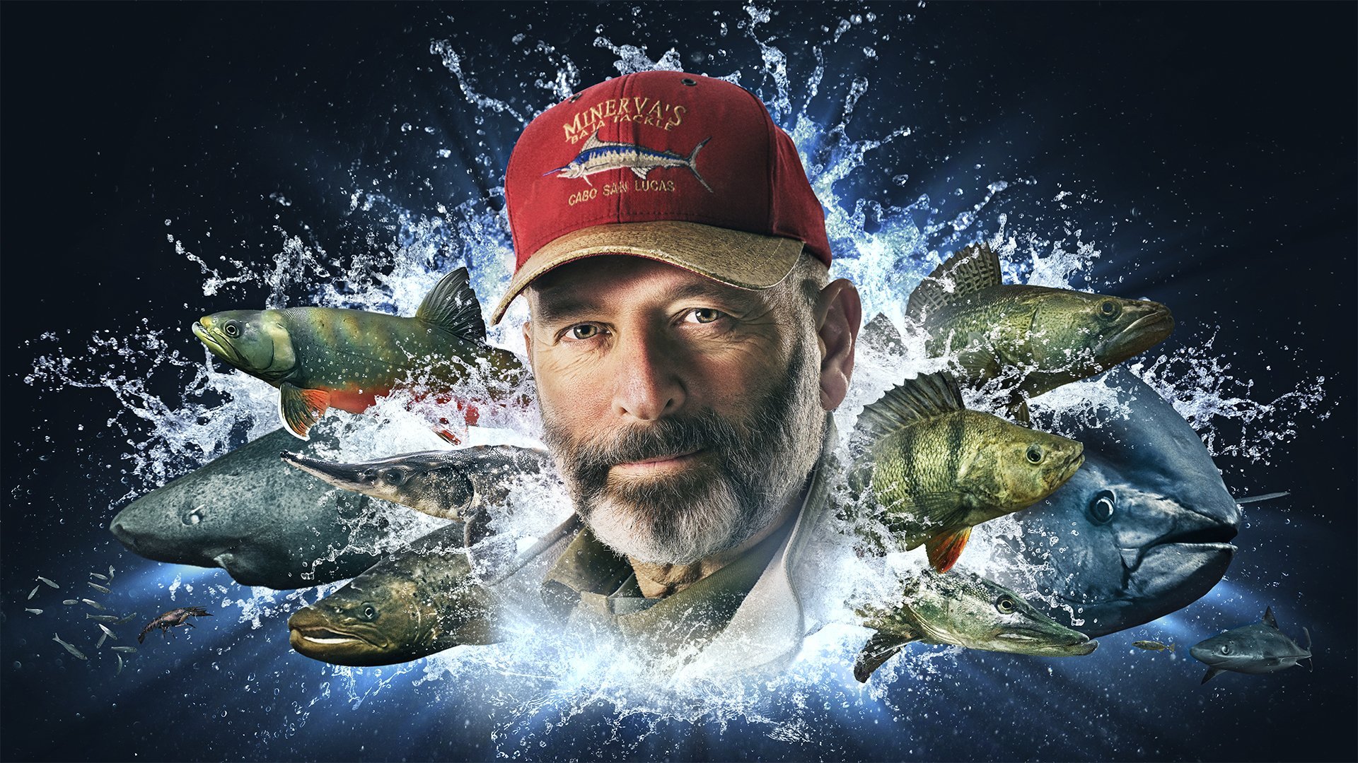 Fiskarnas rike