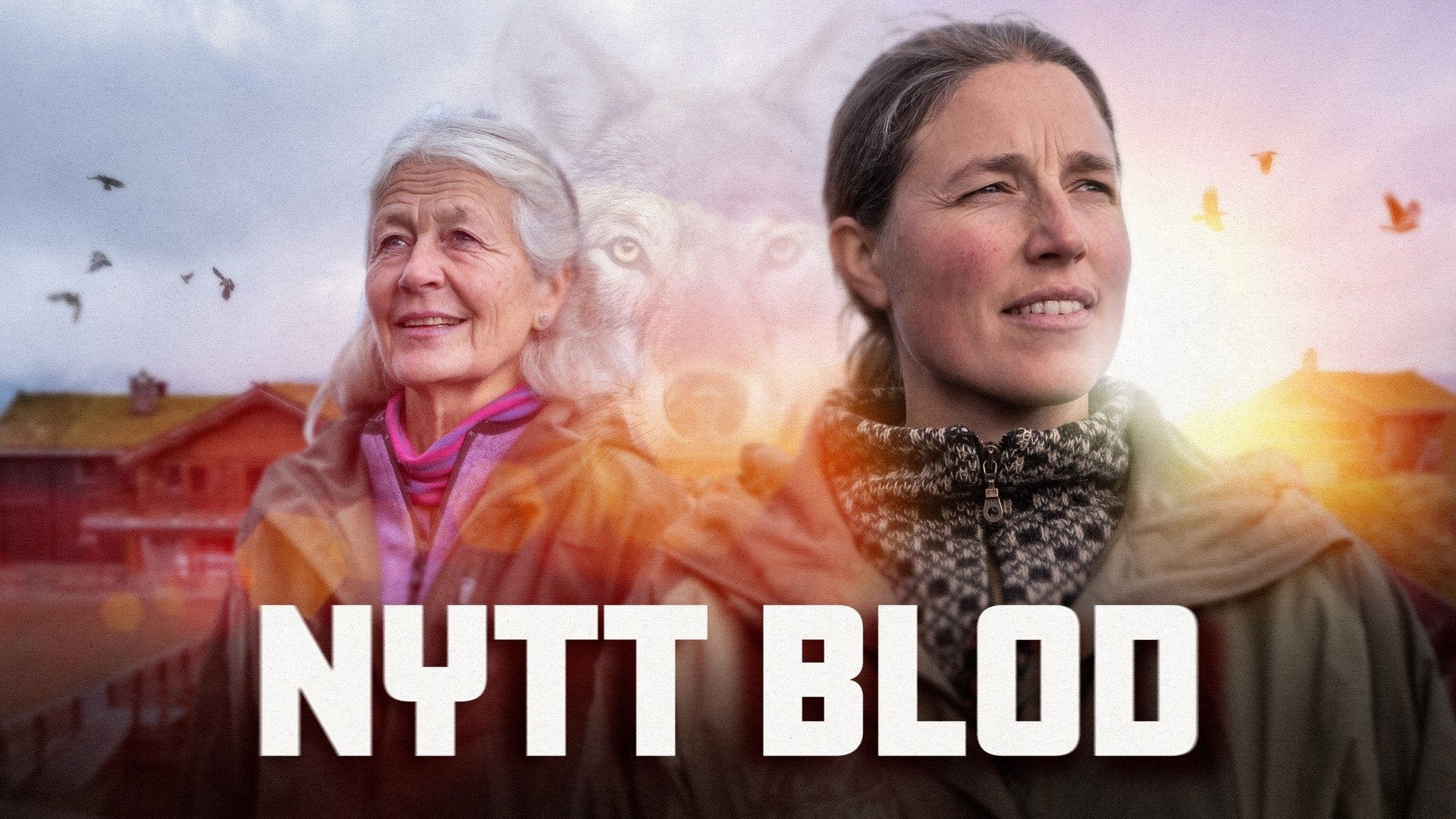 Nytt blod i djurparken
