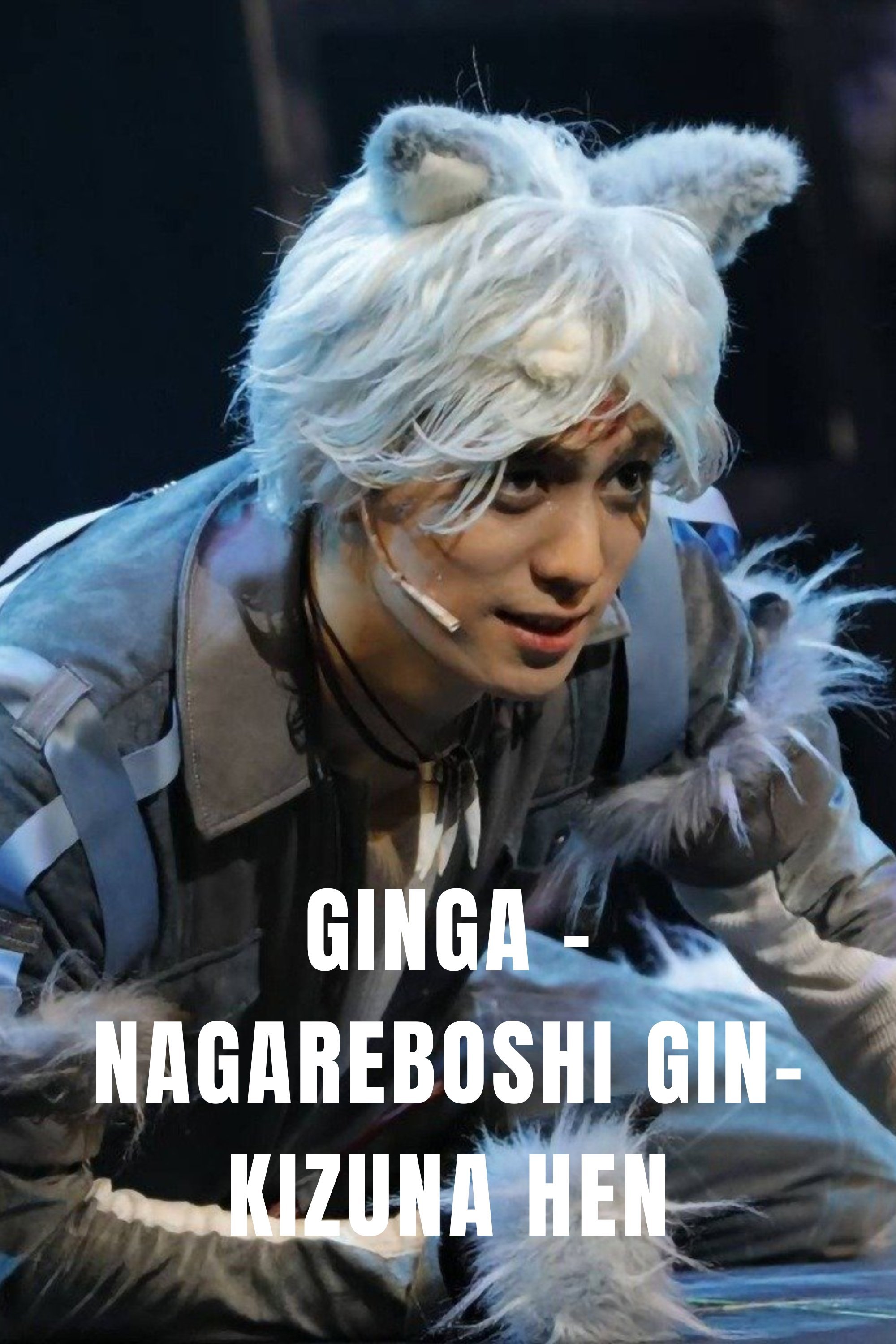 Ginga -Nagareboshi Gin- Kizuna Hen