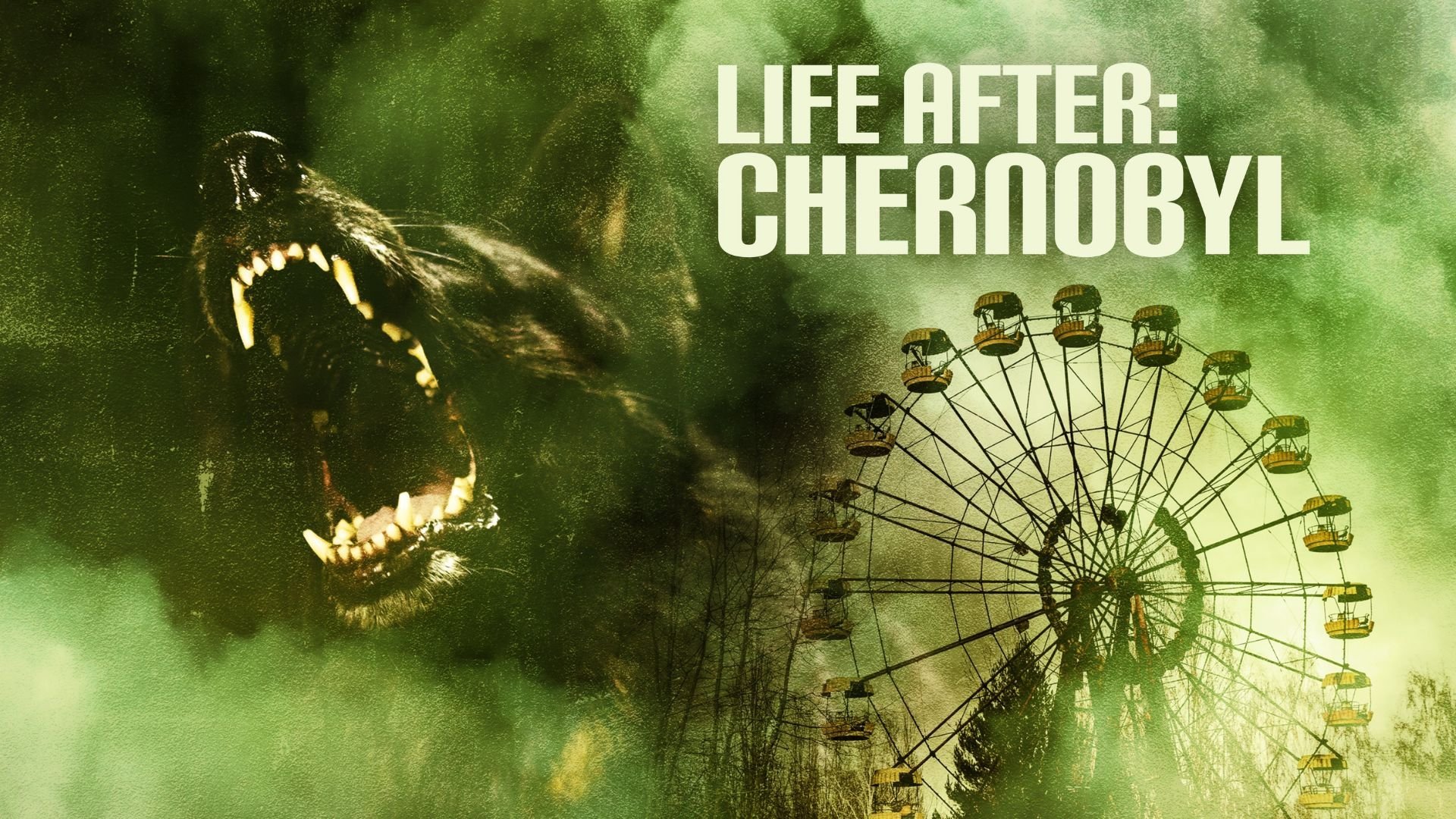 Life After: Chernobyl