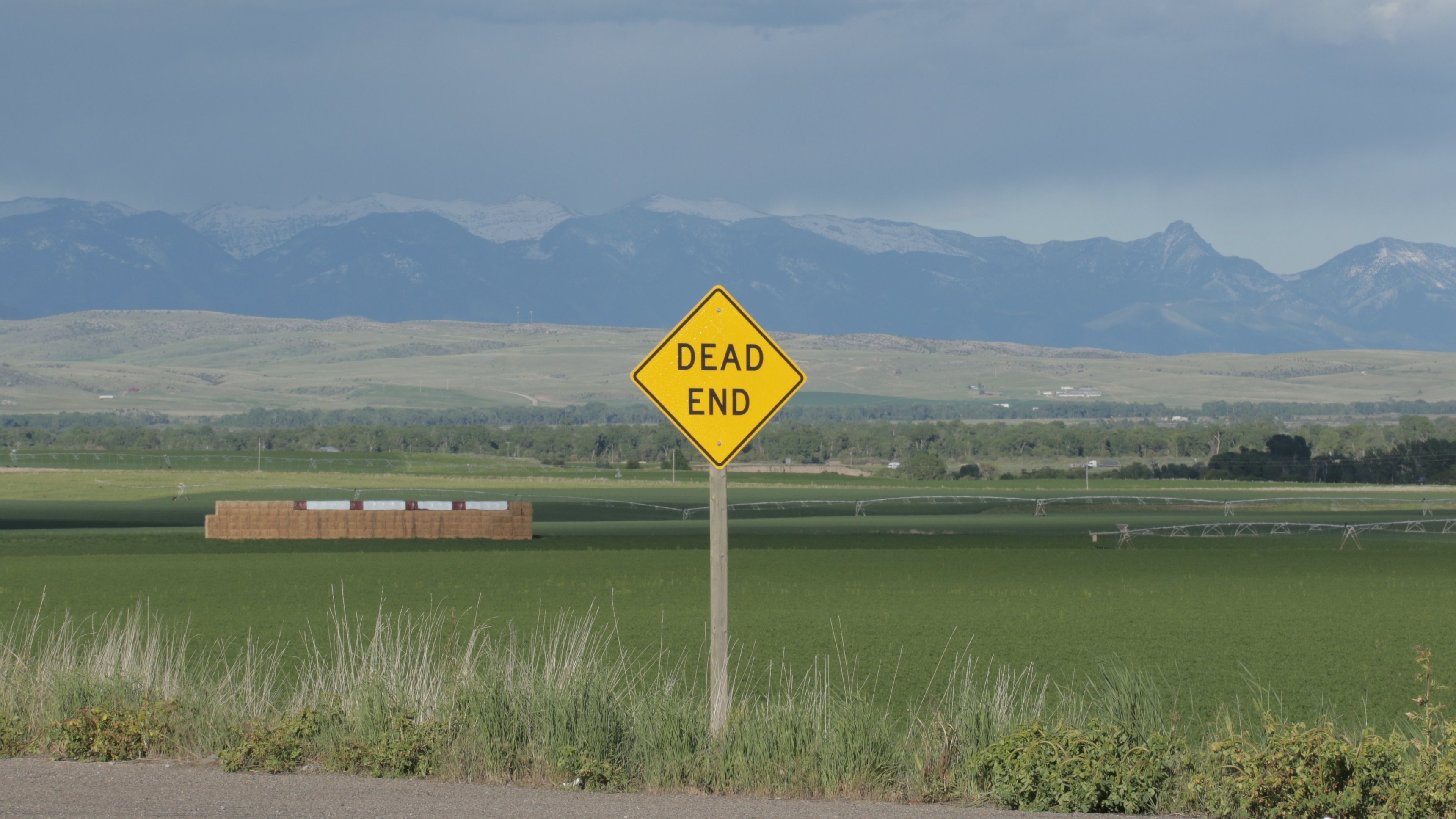 4. Killing Meriwether Lewis