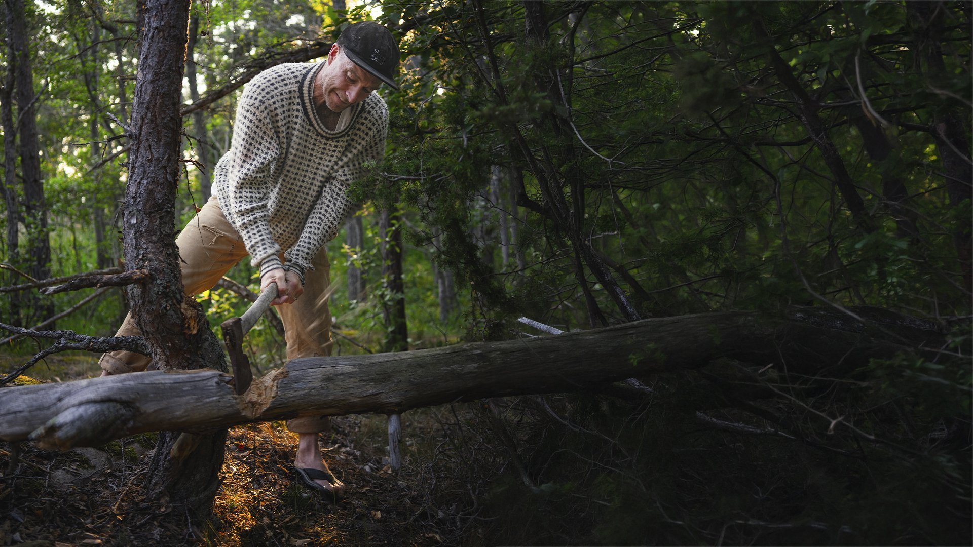Under stjärnorna med Markus Torgeby