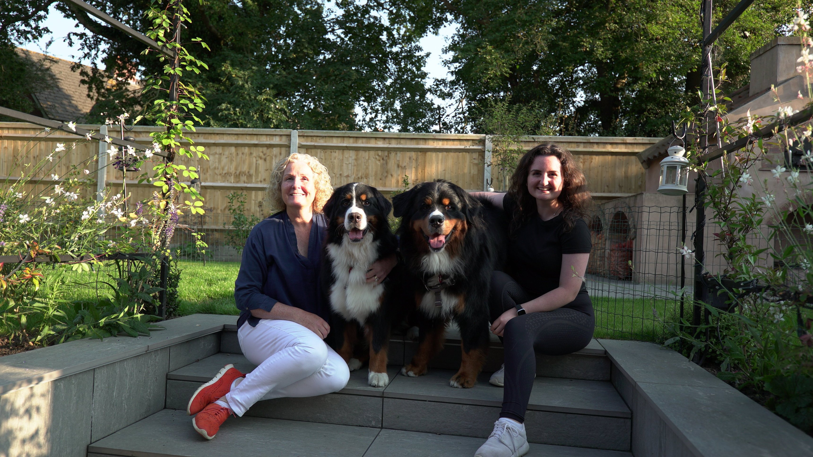 16. Saffie & Yogi: The Colossal Canines