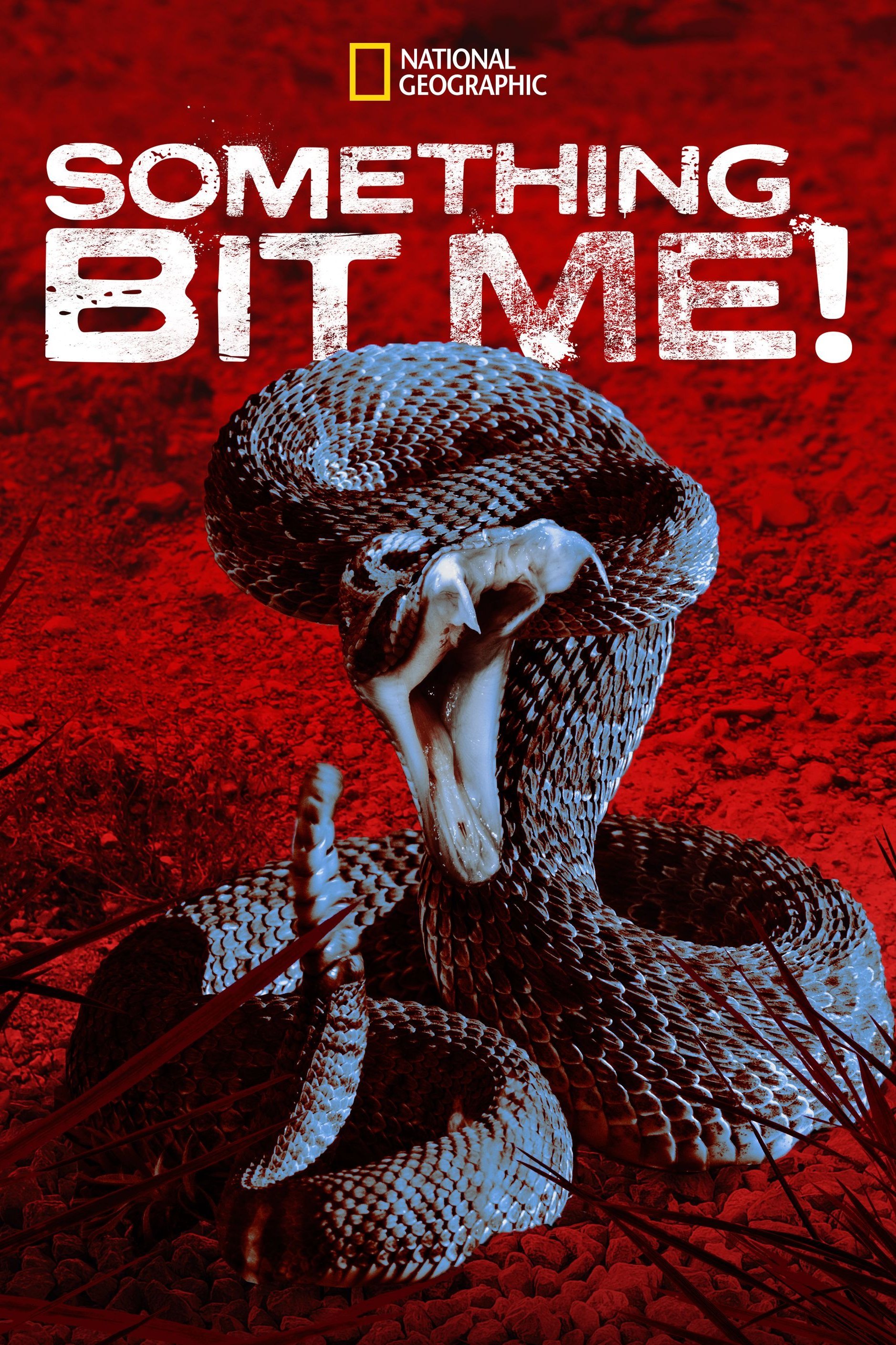 Hjälp, jag har blivit stucken!