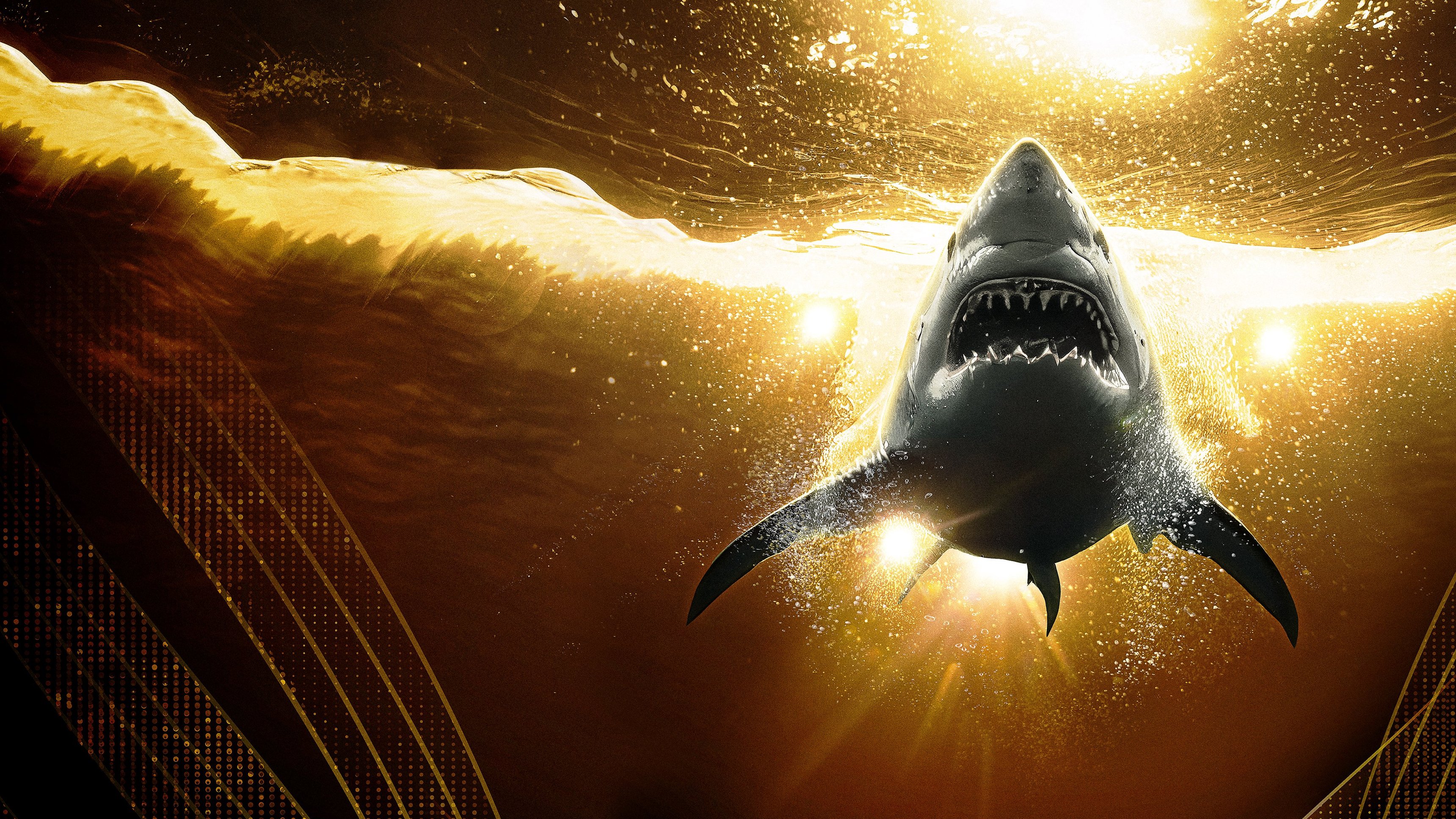 1. Shark Week: Off the Hook