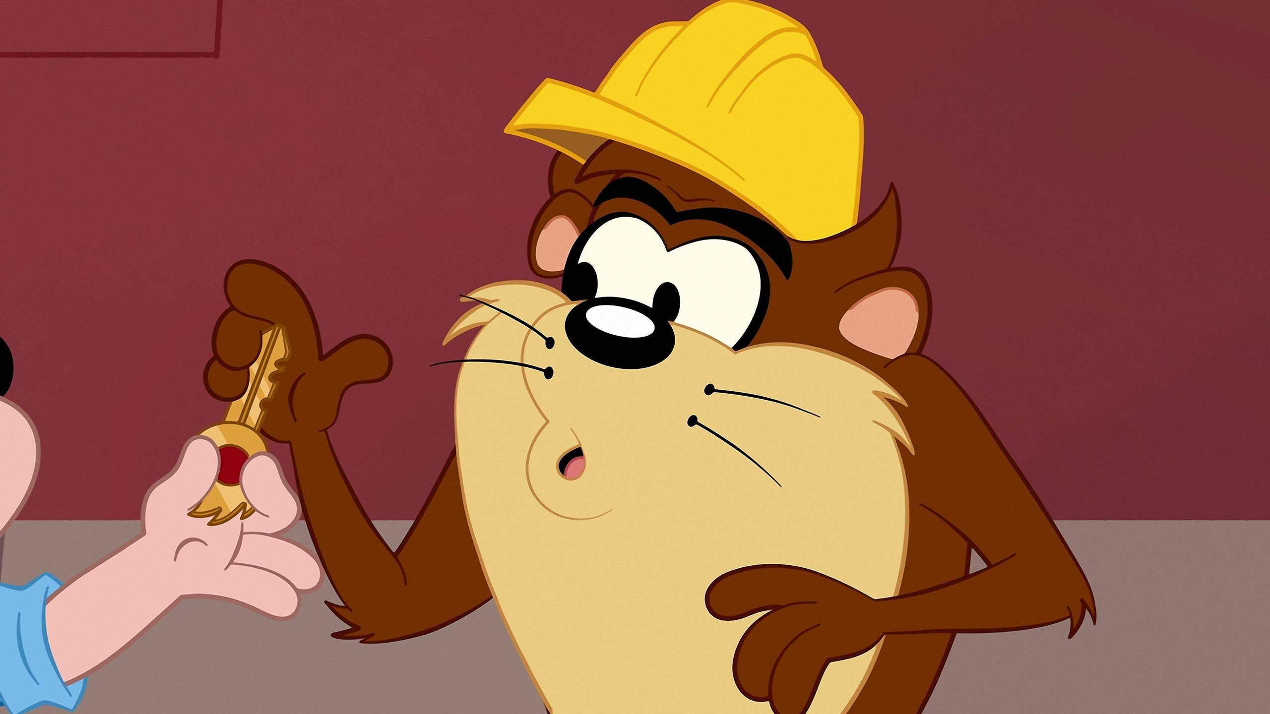 24. Taz återvinner