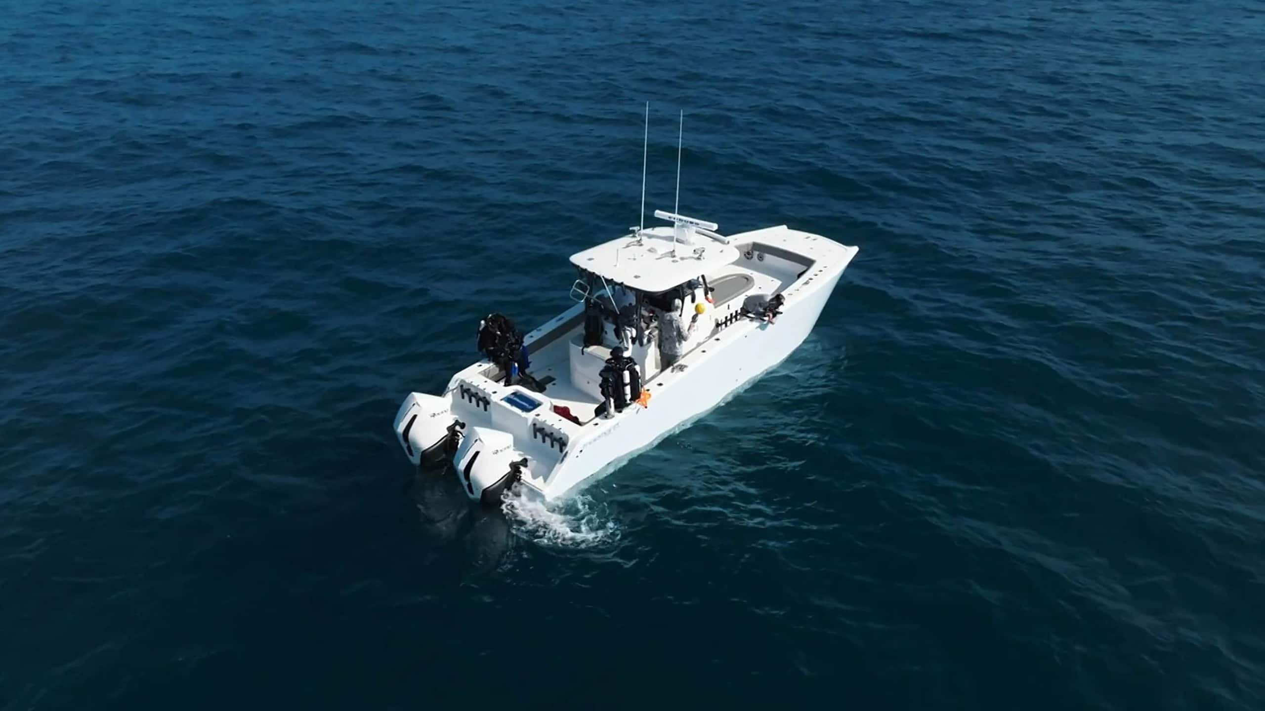 5. The White Whale