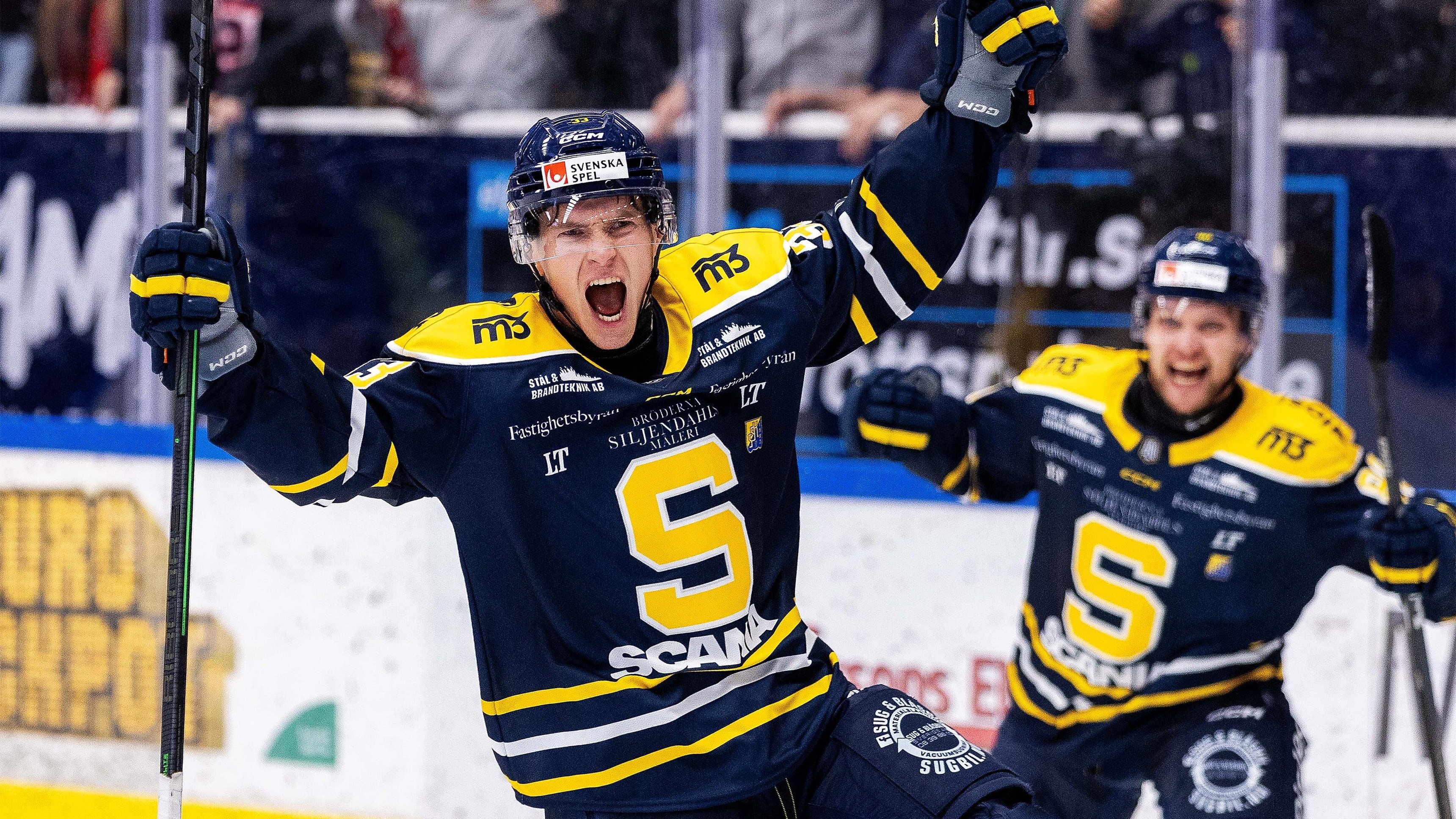 Hockeyallsvenskan