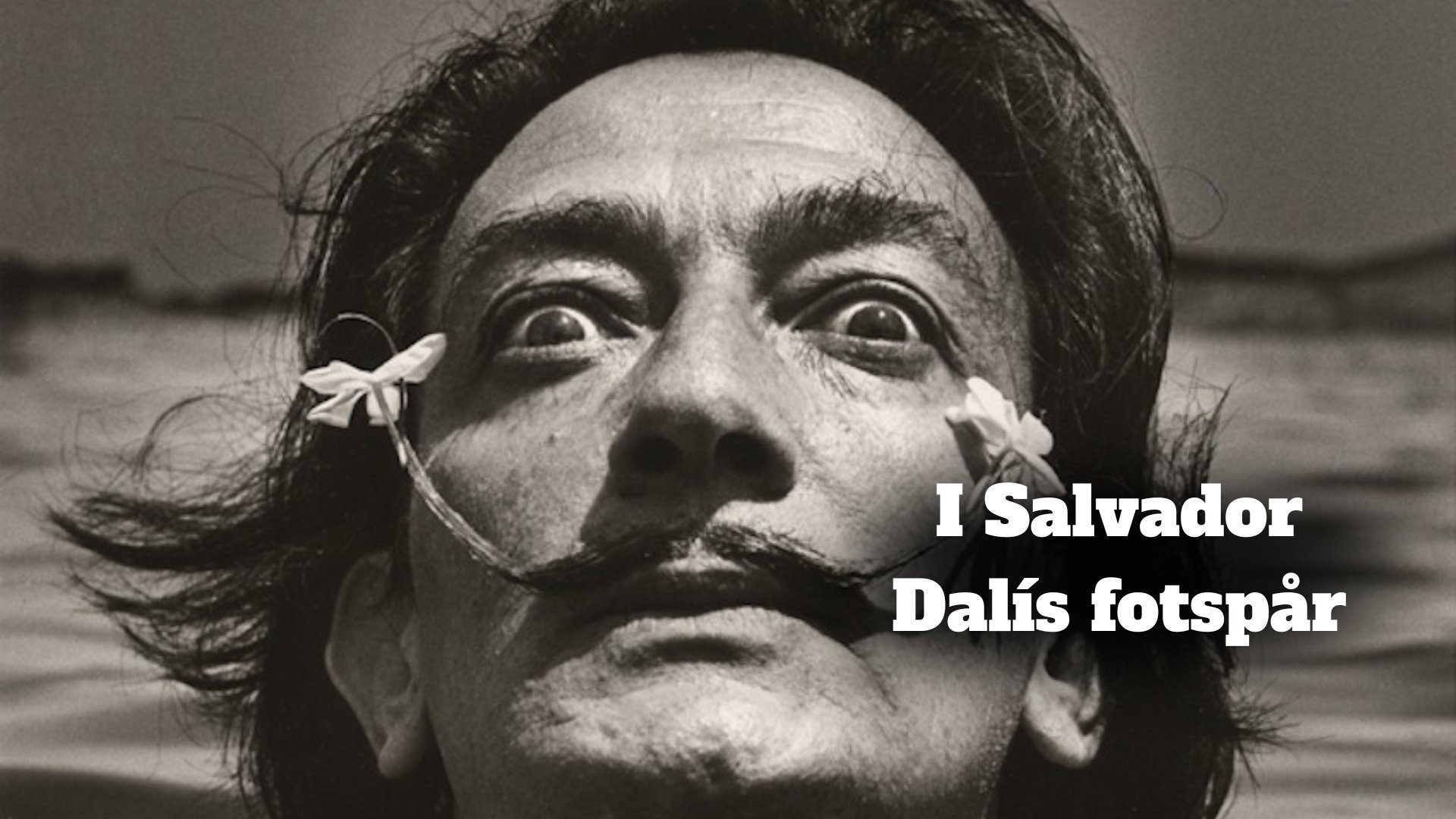 I Salvador Dalís fotspår