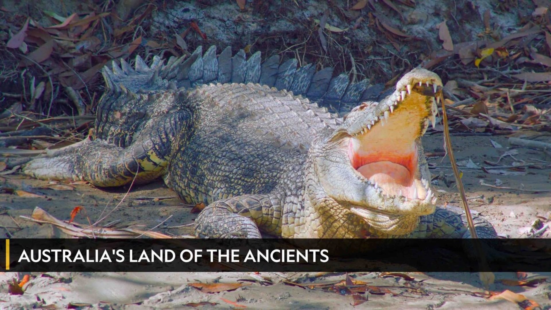 Australia's Land of the Ancients