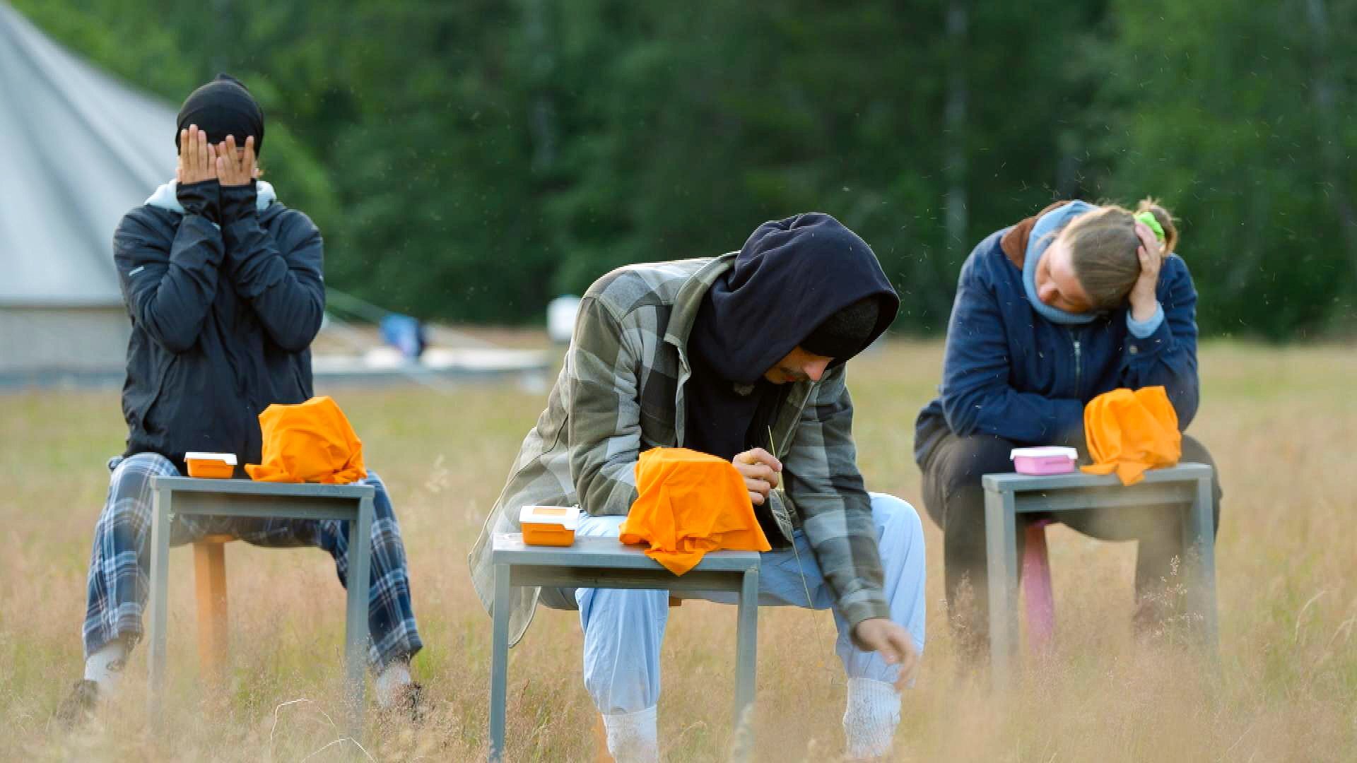 4. En jävla massa knott