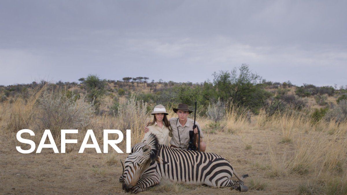 Safari | Tele2 Play