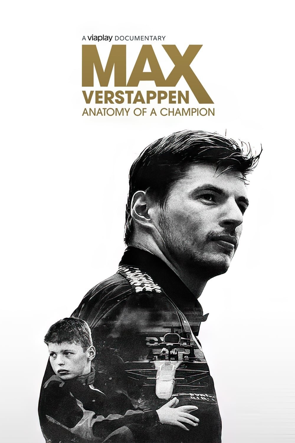 Max Verstappen - Anatomy of a Champion