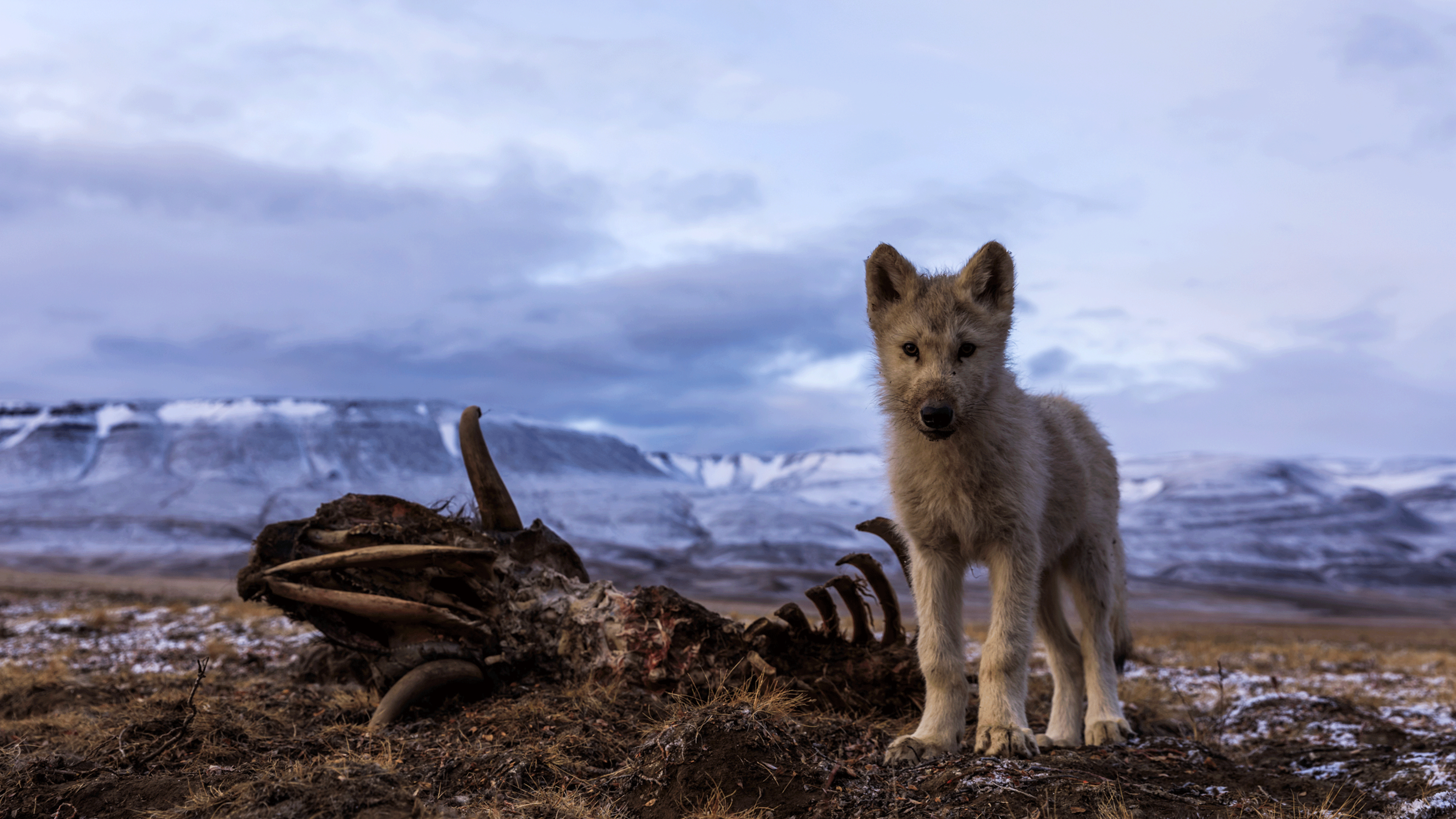3. The Last Hunt