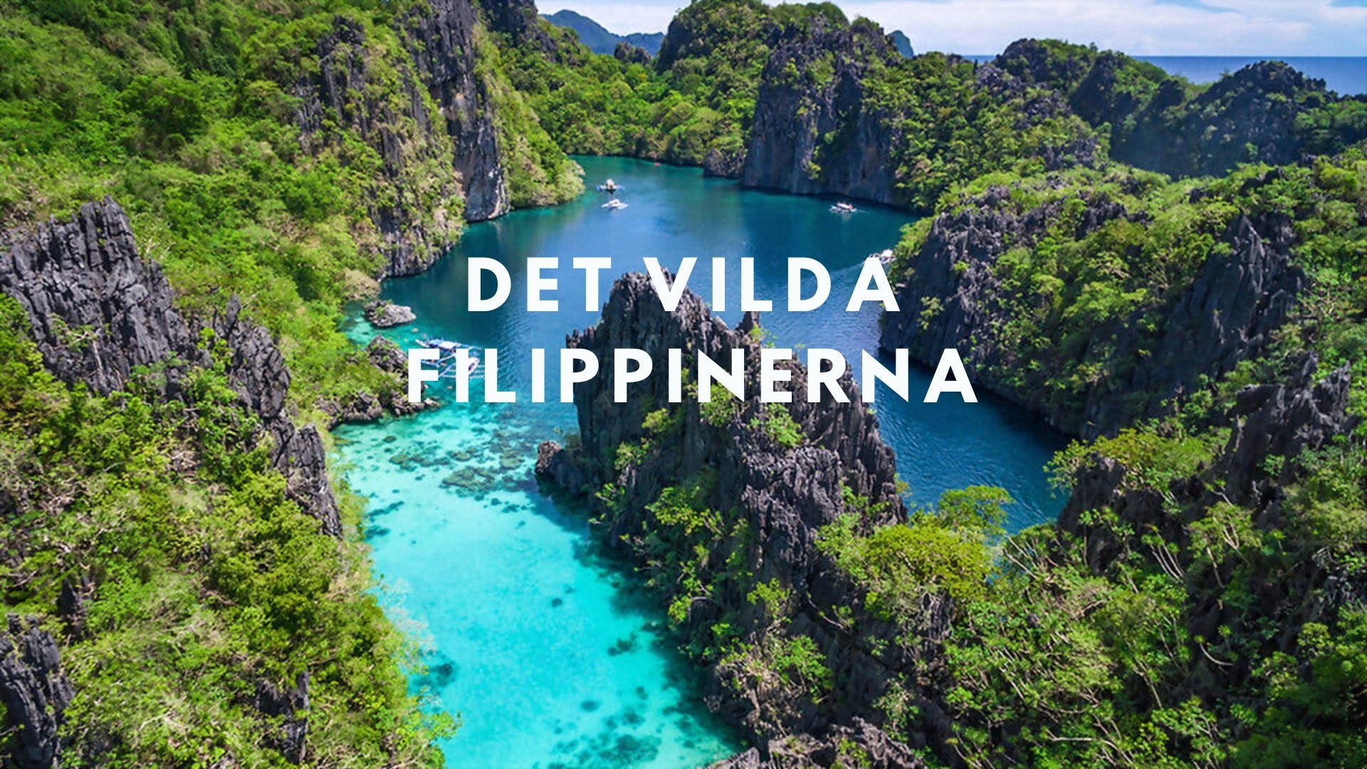 Det vilda Filippinerna