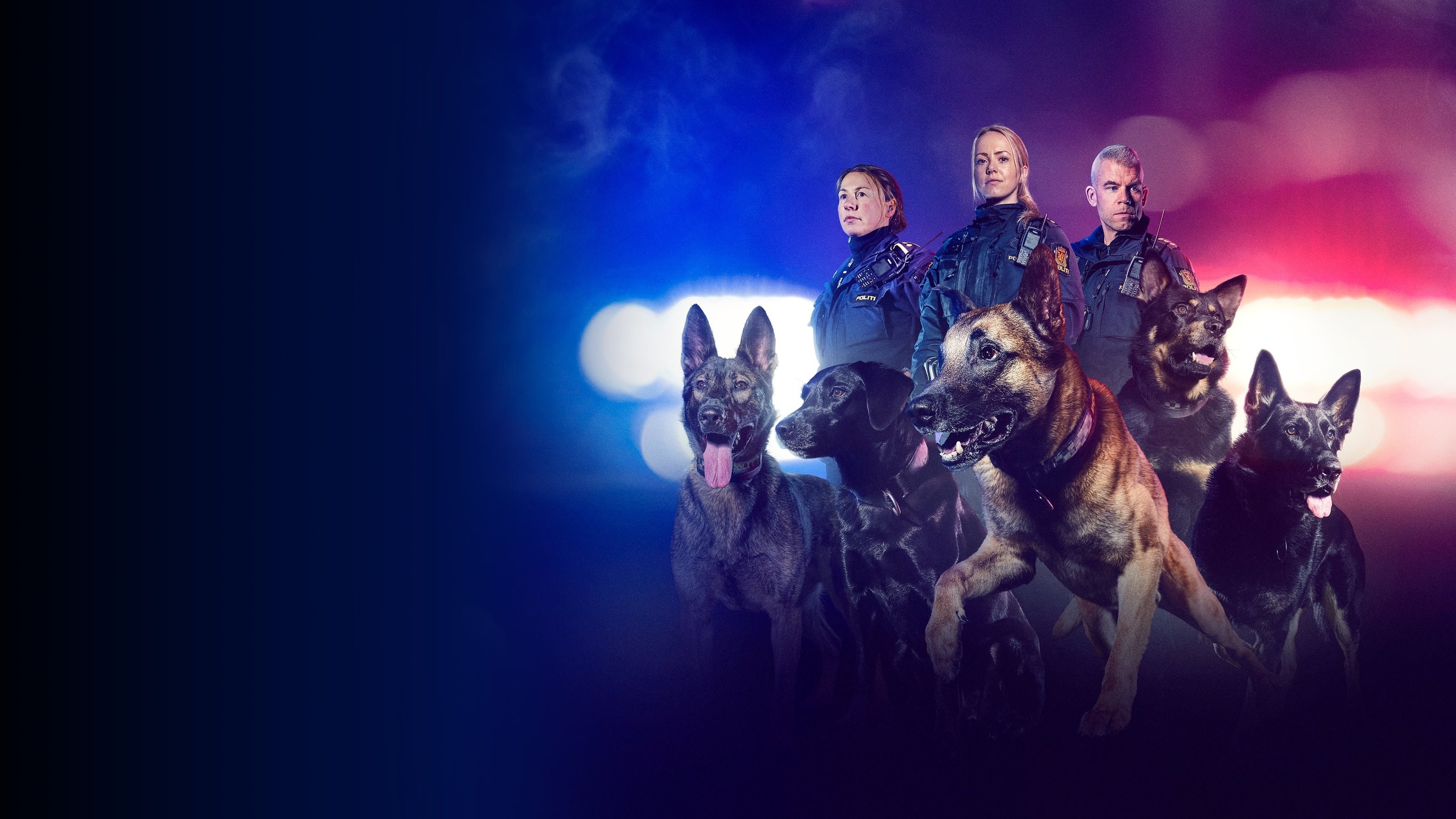 Polishundarna Norge