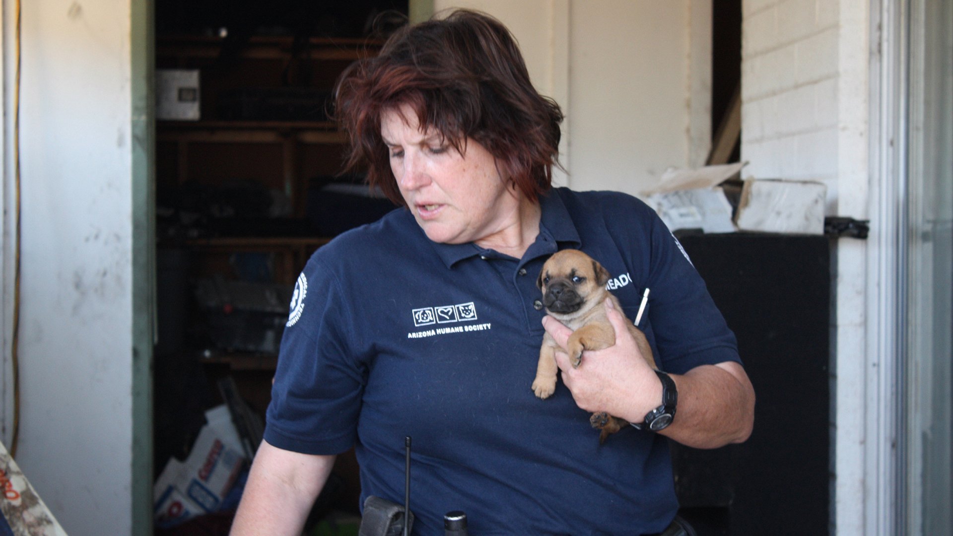 7. A Tale Of Three Tails