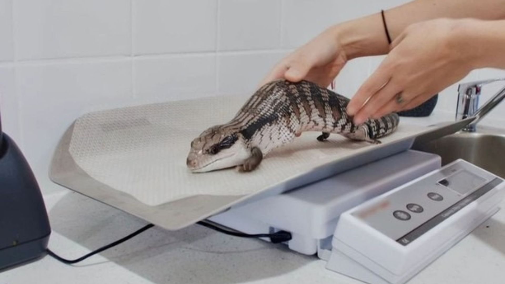 1. Improvising in the OR