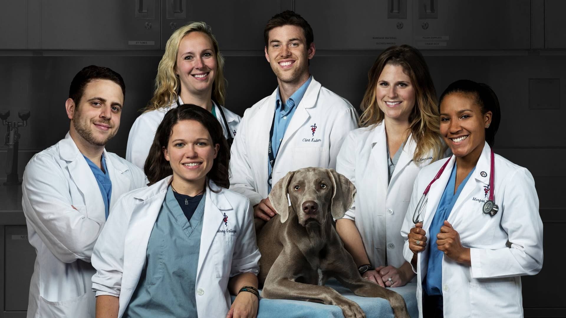 Life At Vet University