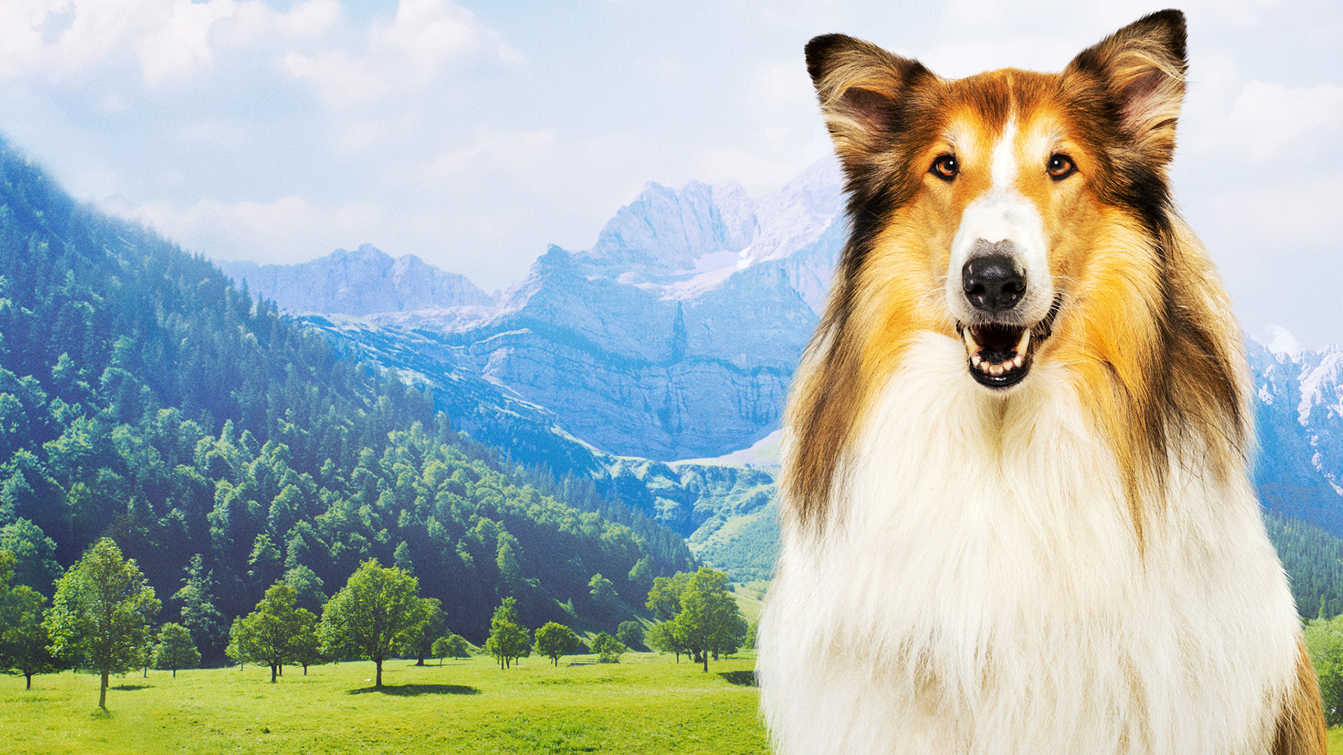 Lassie - Ett nytt äventyr