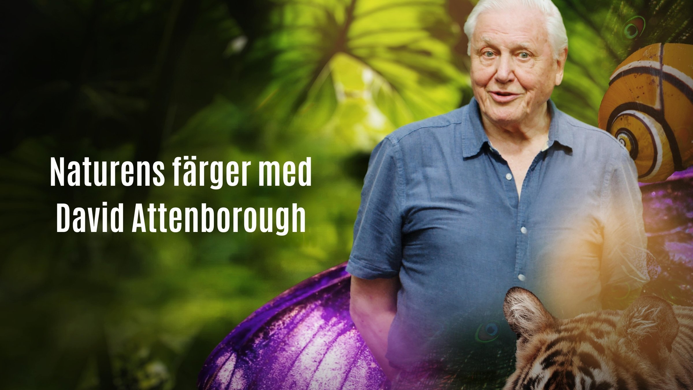Naturens färger med David Attenborough