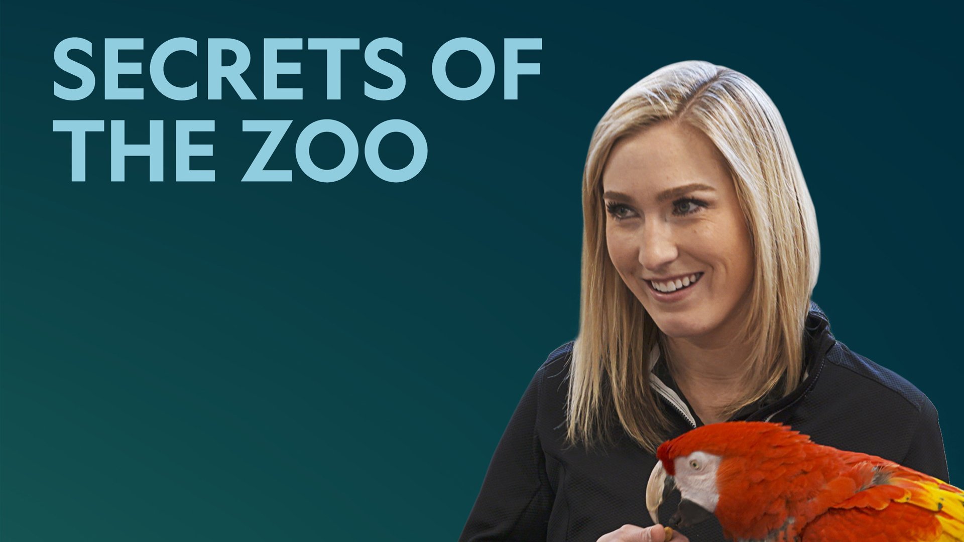 Secrets of The Zoo: World Animal Days