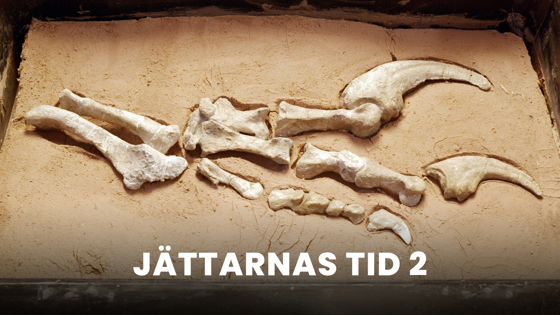 Jättarnas tid 2