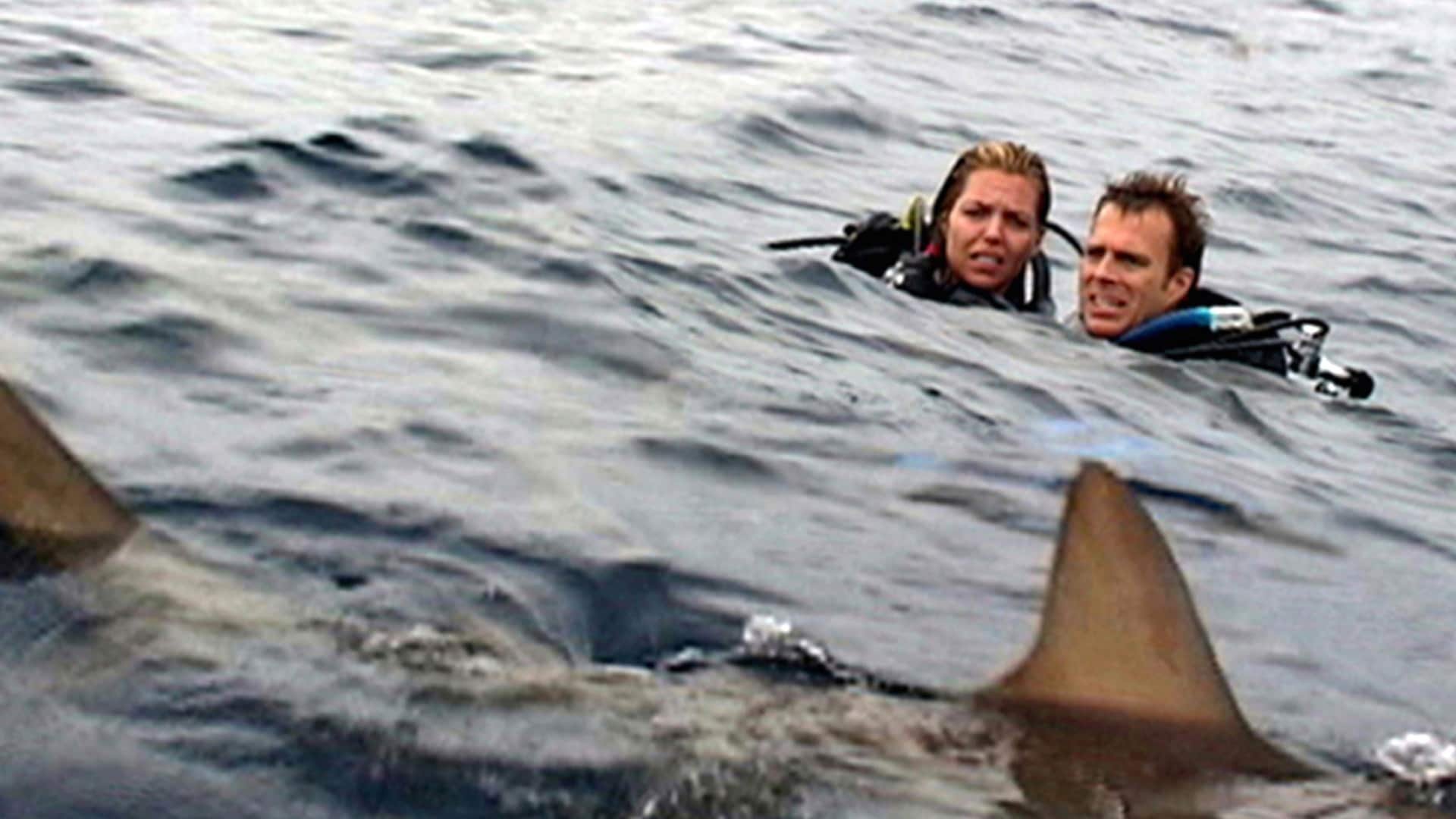 Open Water