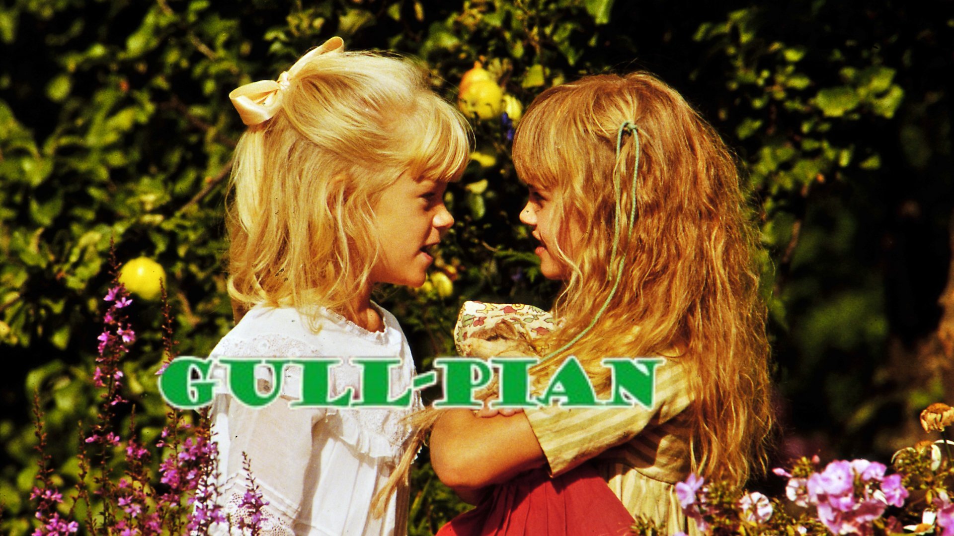 Gull-Pian