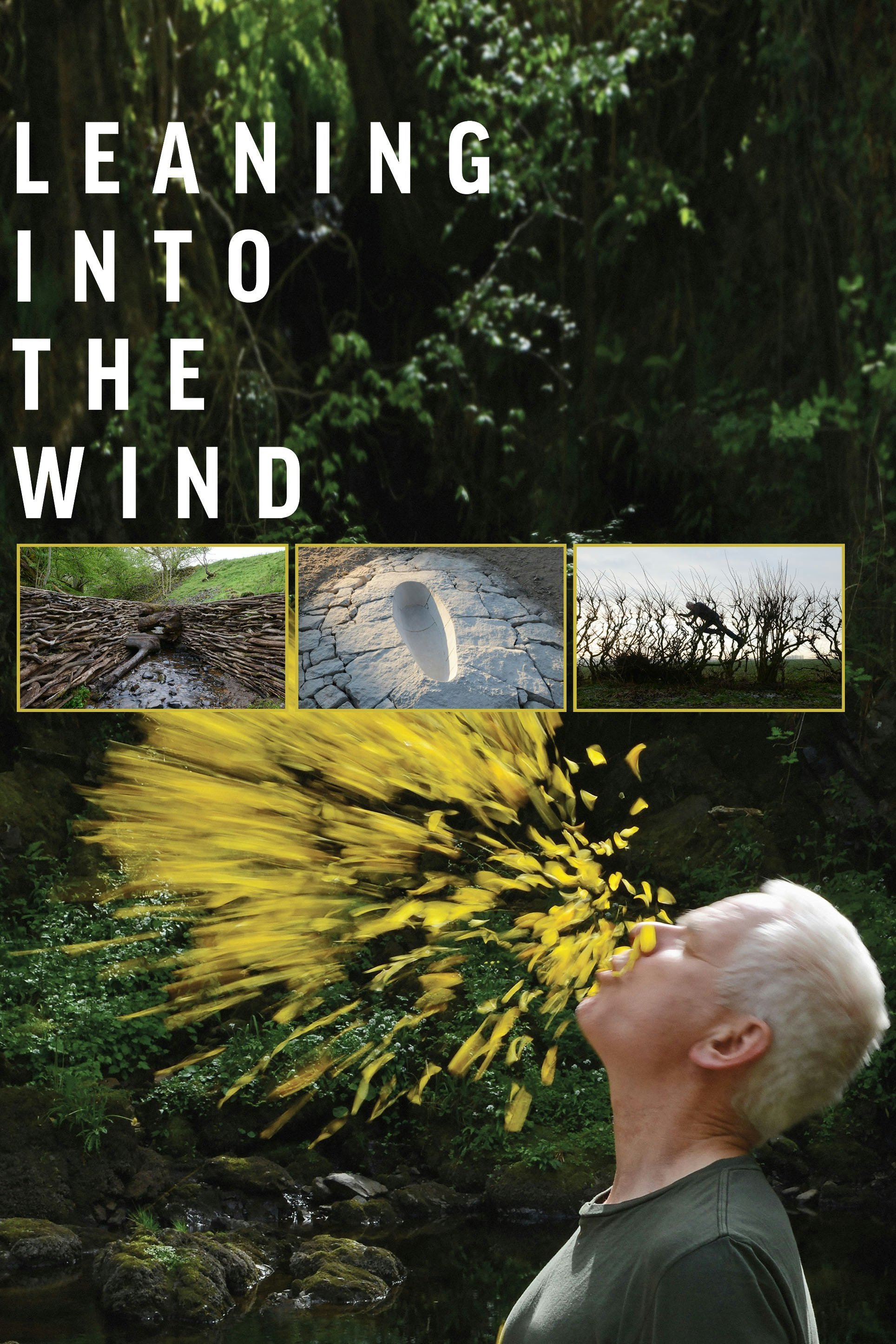 Leaning Into the Wind