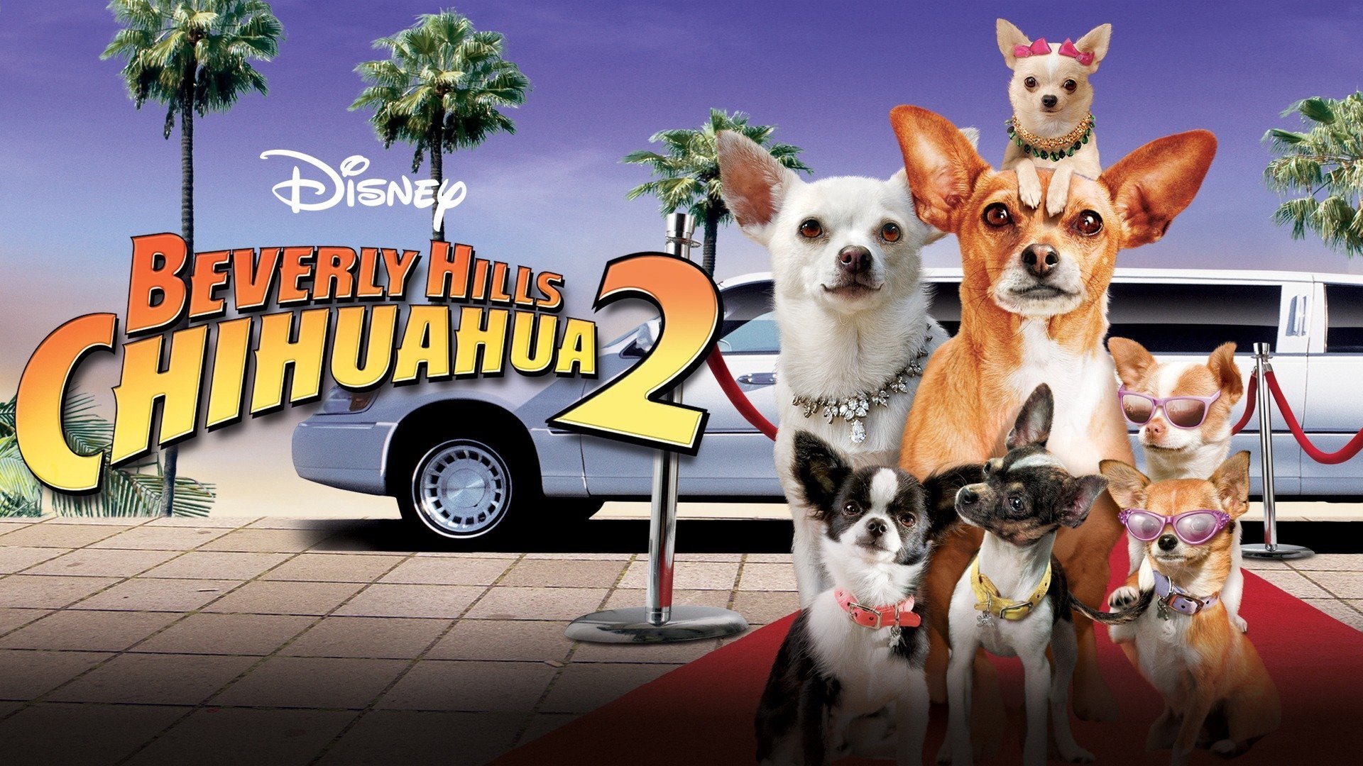 Le chihuahua de Beverly Hills 2