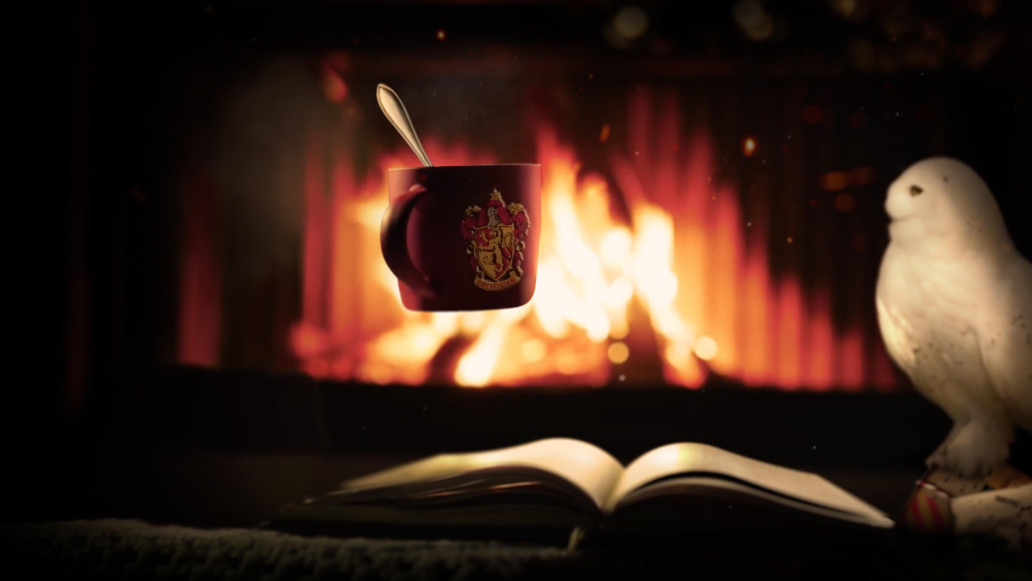 Jul på Hogwarts: Brasa