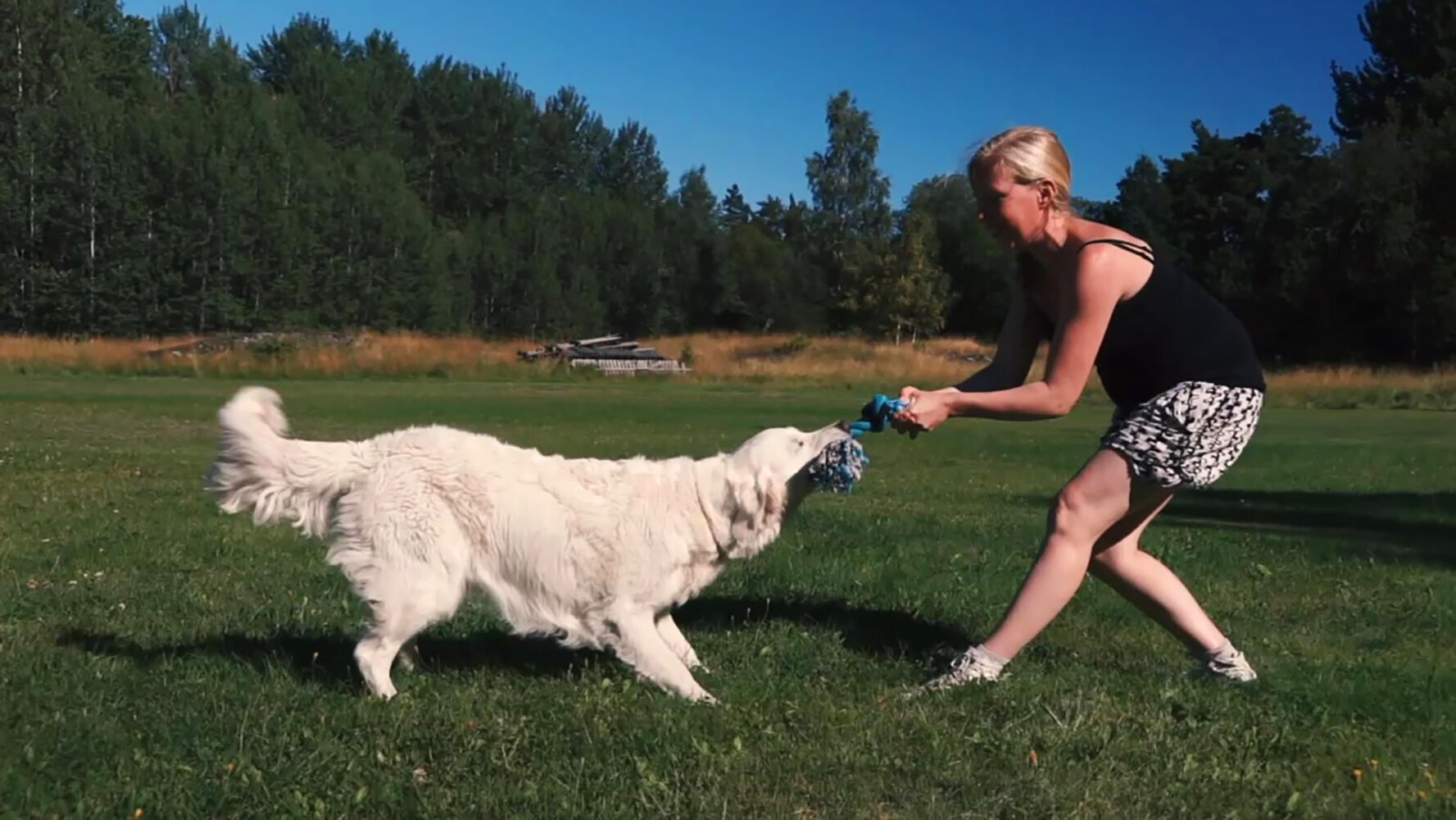 25. Hund och matte i dragkamp