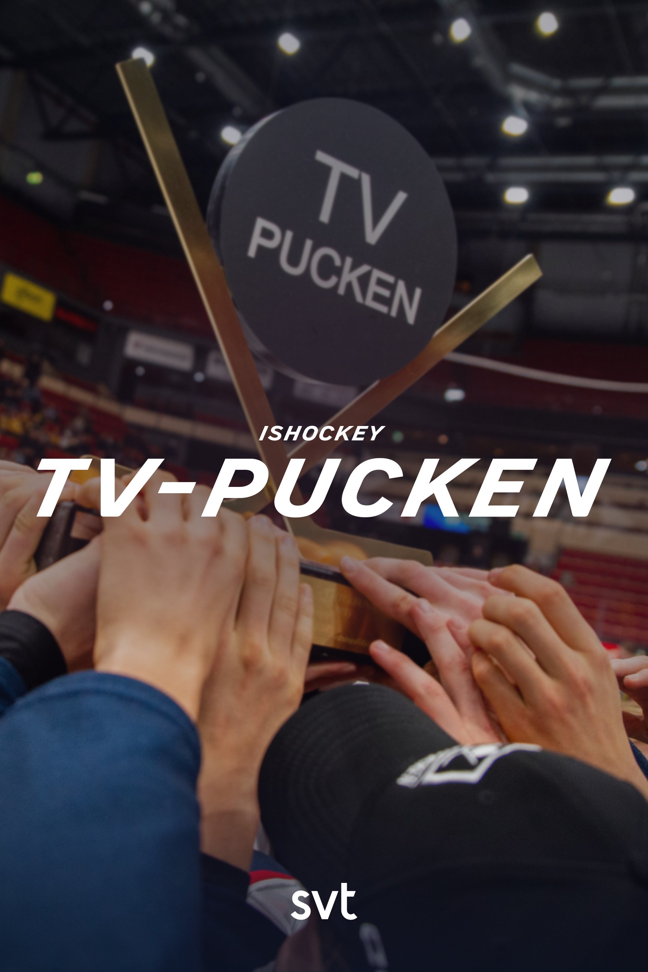 Ishockey: TV-pucken
