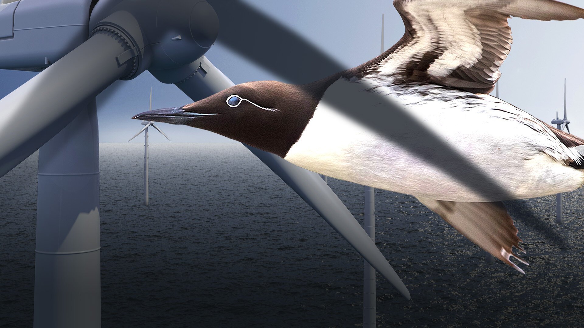 Kalla fakta: Hotet från Aurora