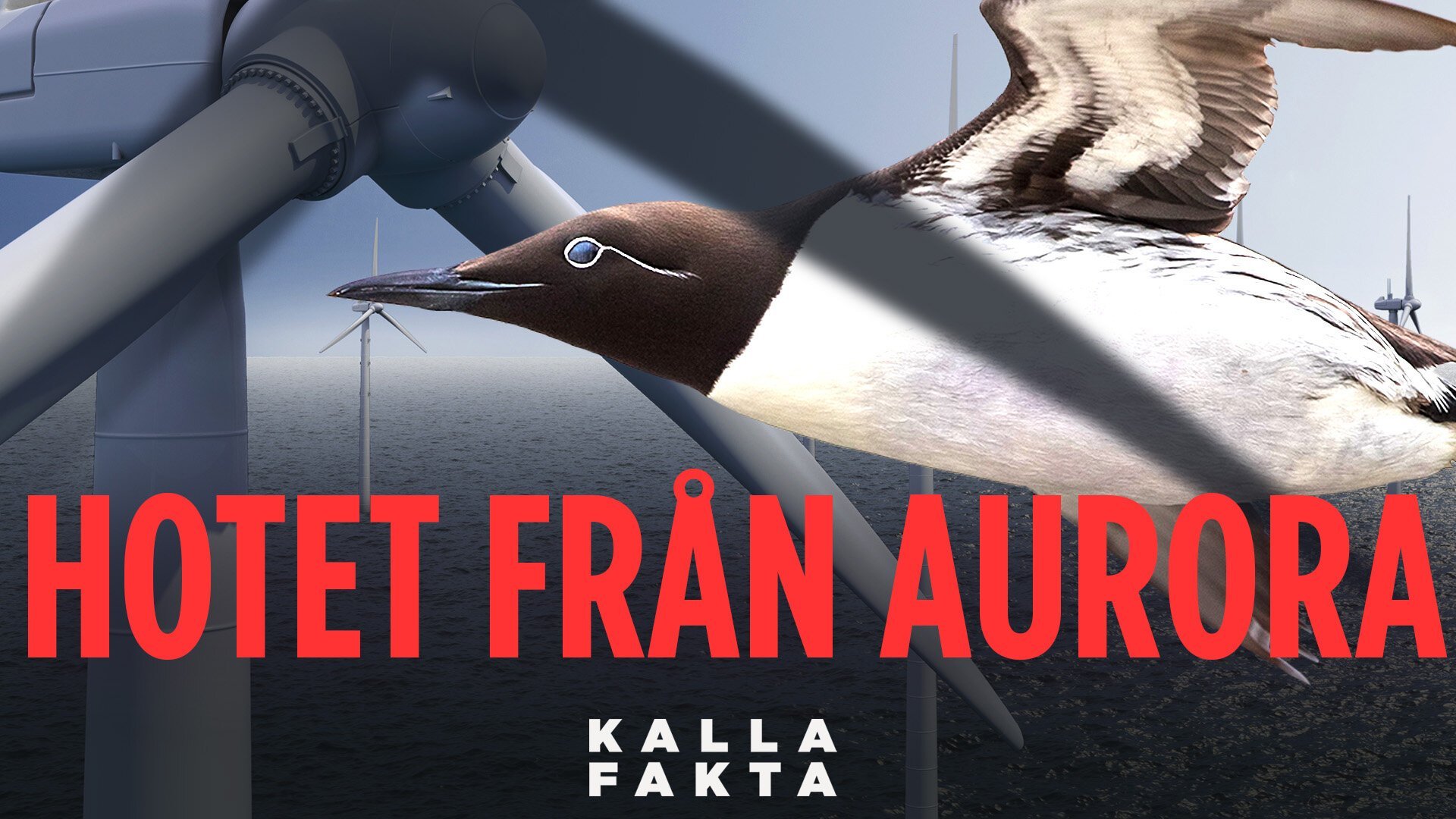 Kalla fakta: Hotet från Aurora