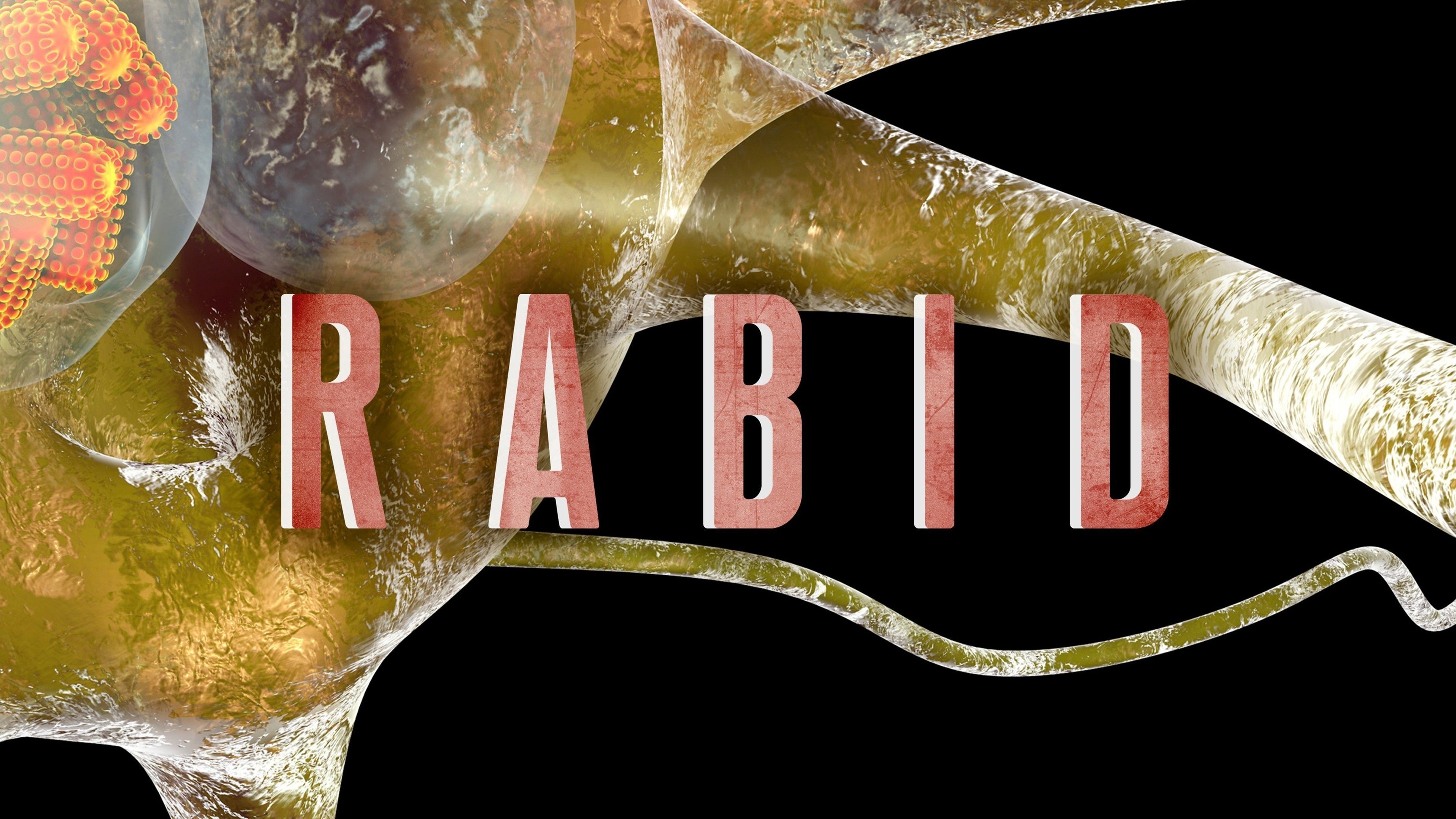 Rabid