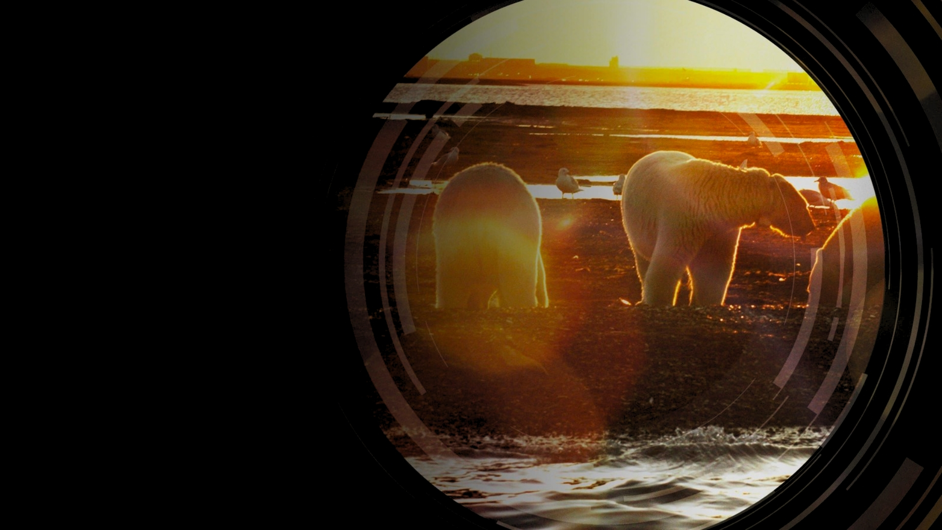 Battle for Alaska's Oil