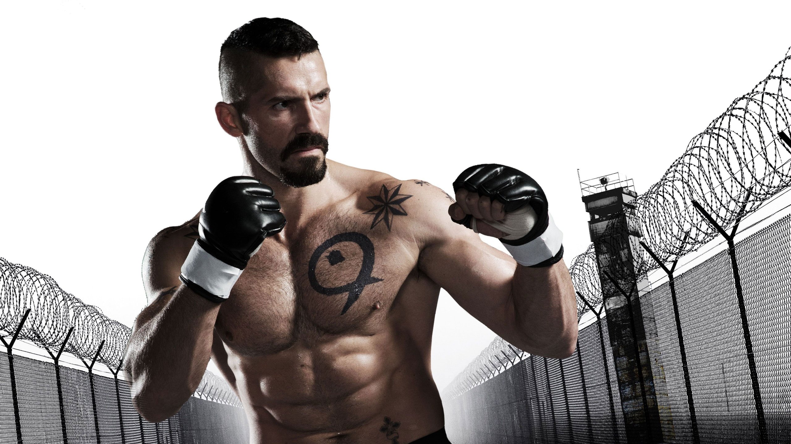 Boyka Undisputed