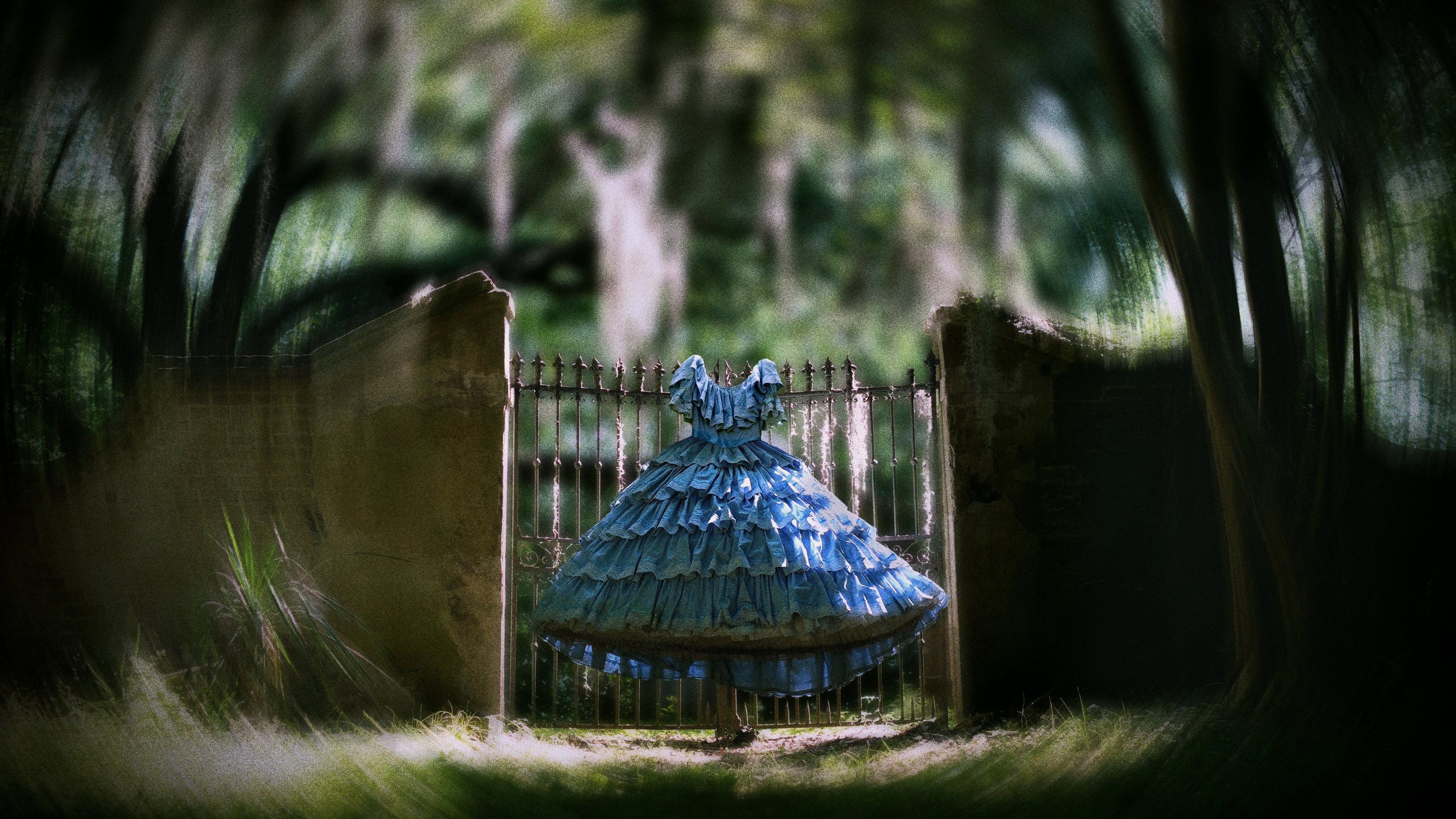 Dox: Den amerikanska söderns arv