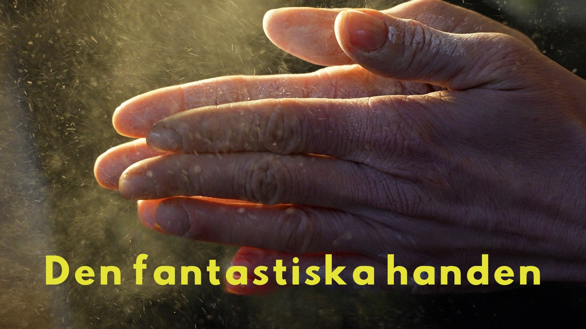 Den fantastiska handen