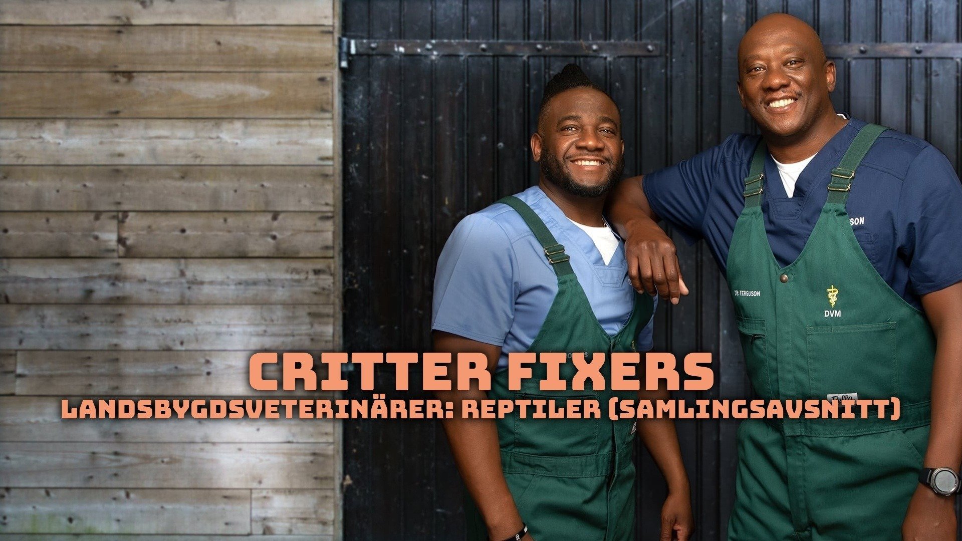 Critter Fixers: Landsbygdsveterinärer: Reptiler (samlingsavsnitt)
