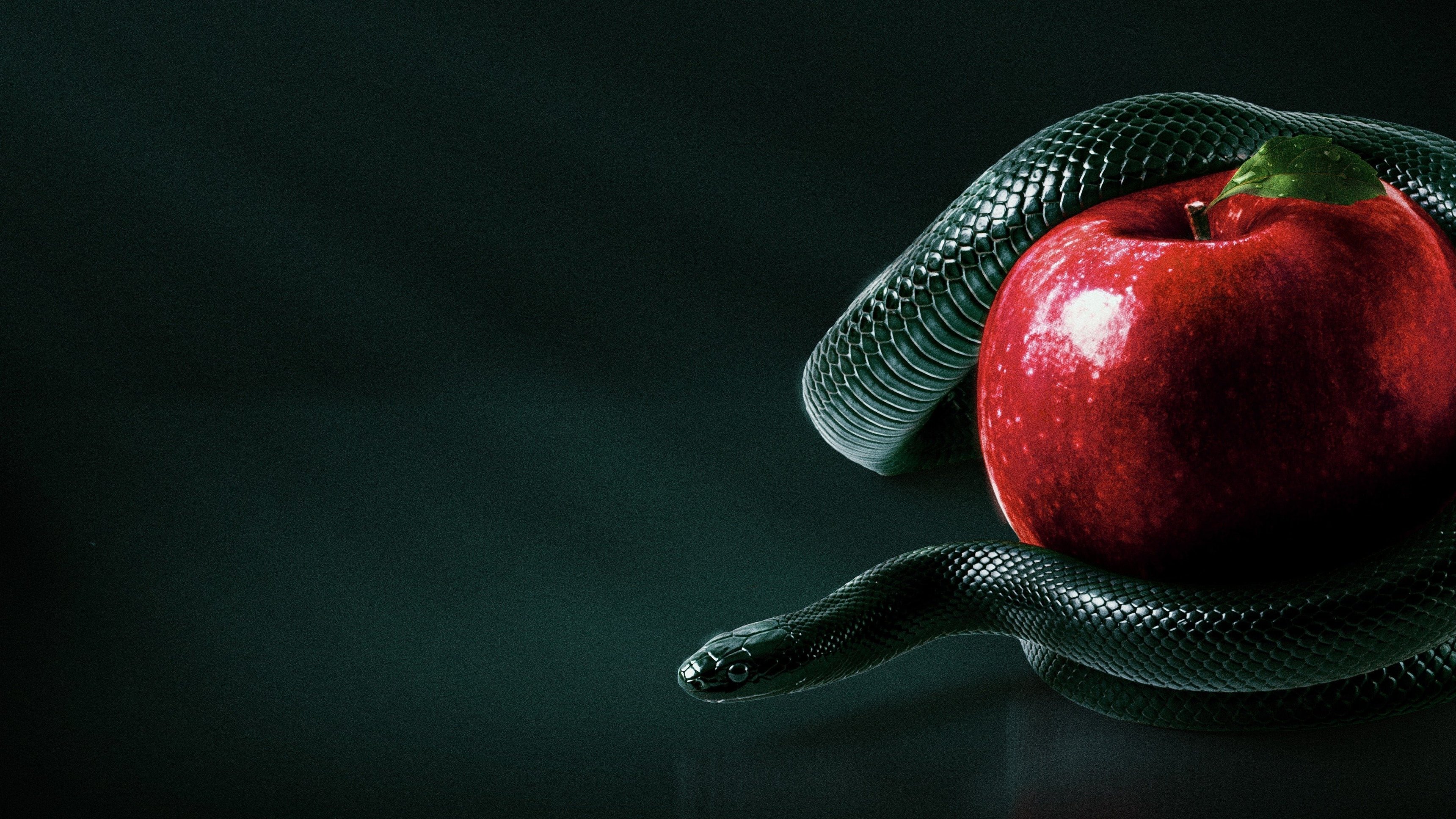 Bible Secrets Revealed