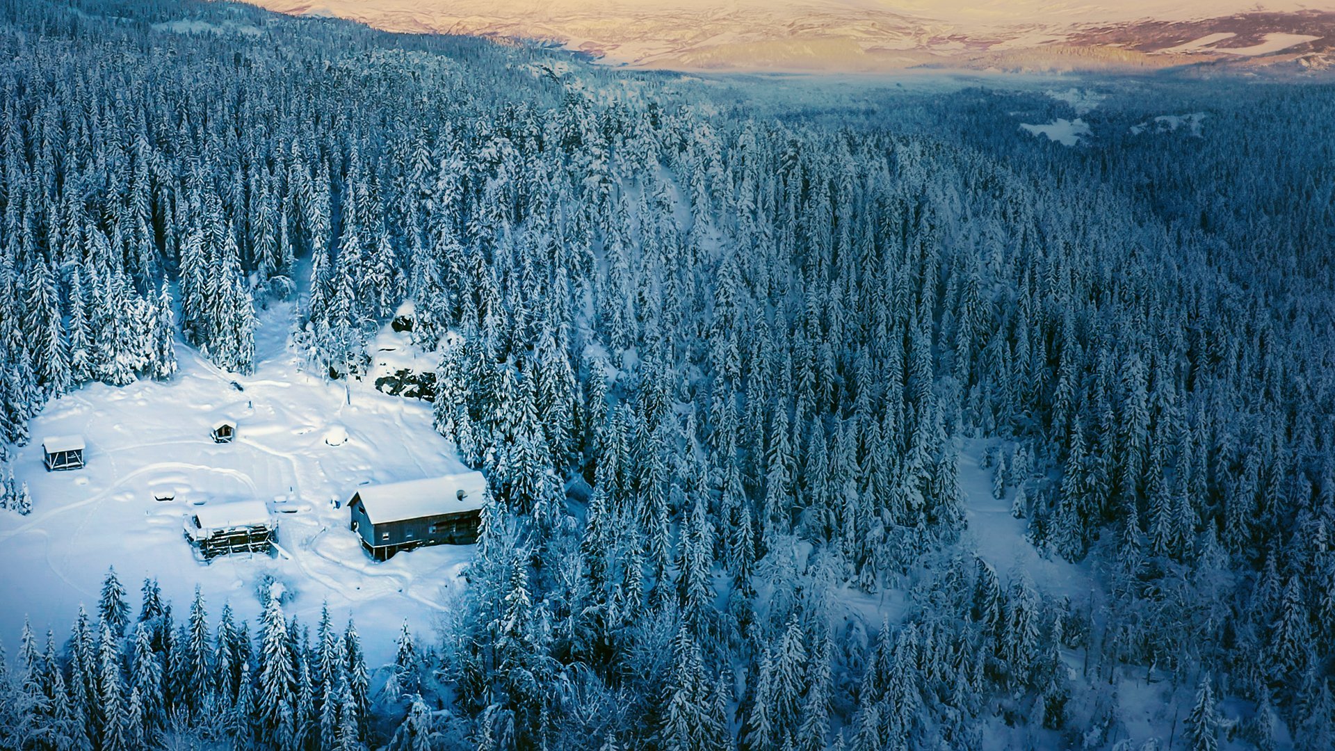Där ingen skulle tro att någon kunde bo: Vinterstunder