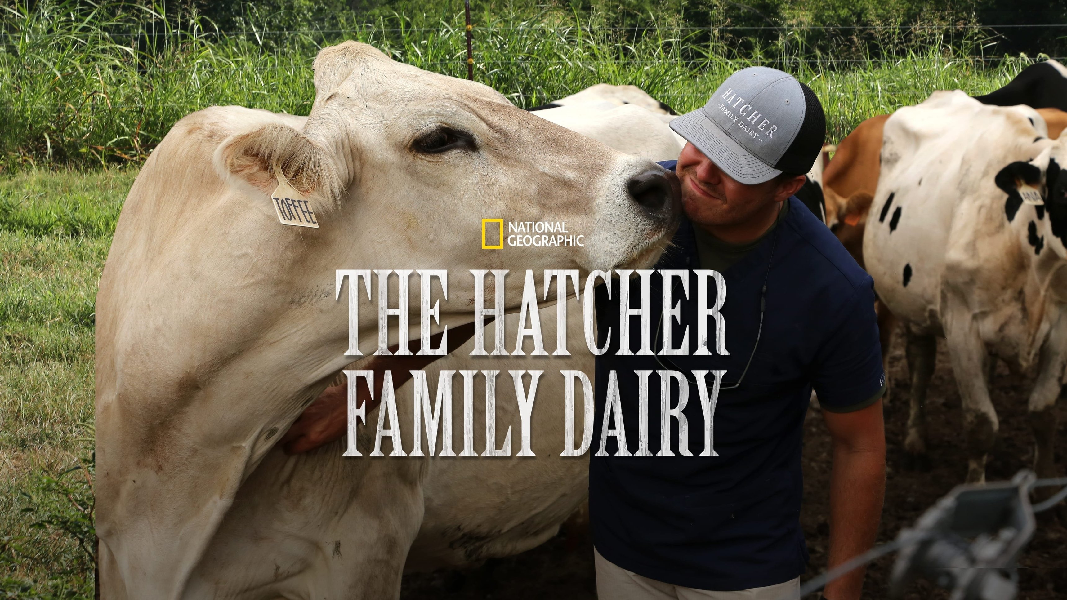Hatchers familjedagbok