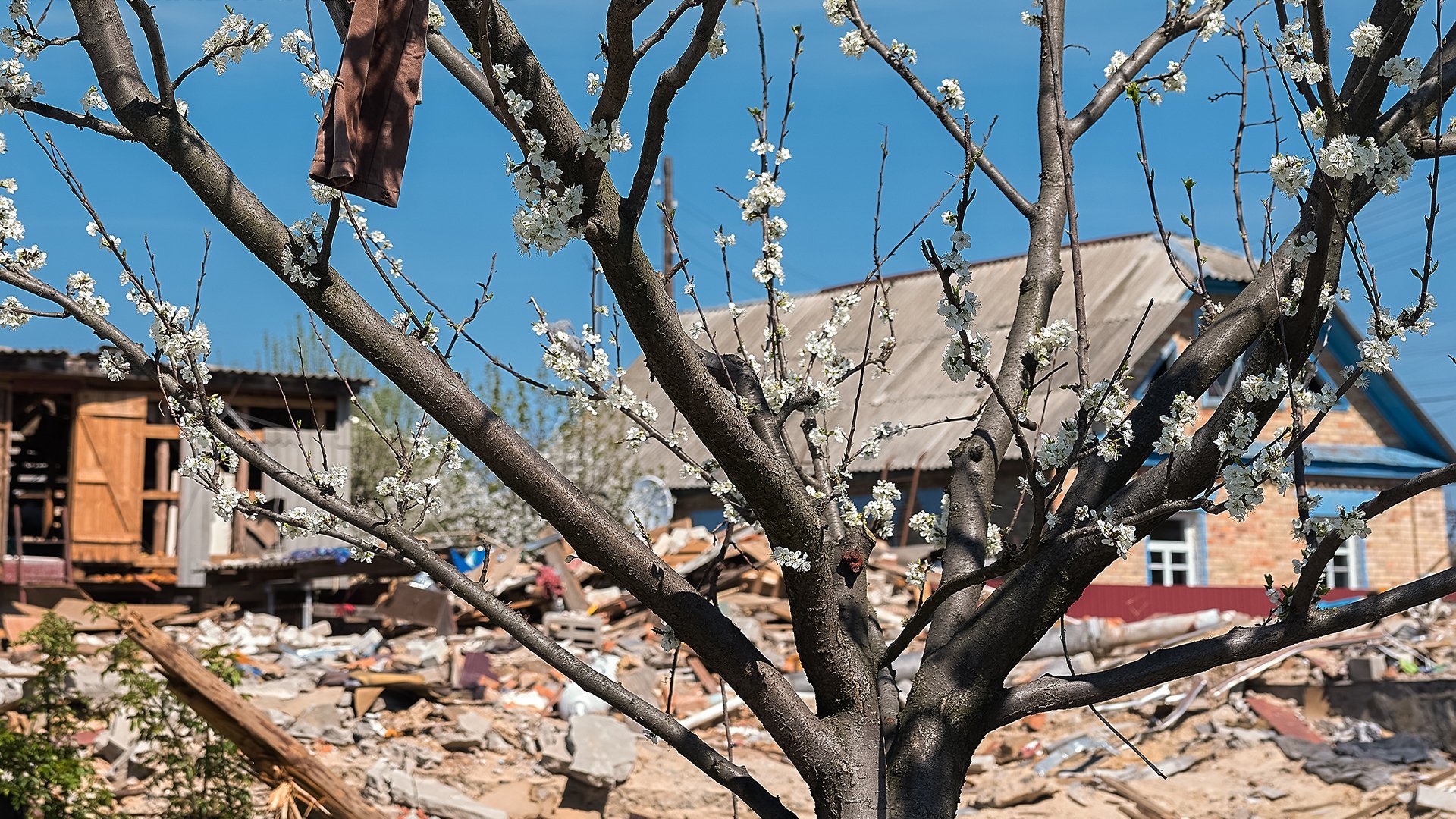Dox: När våren kom till Butja