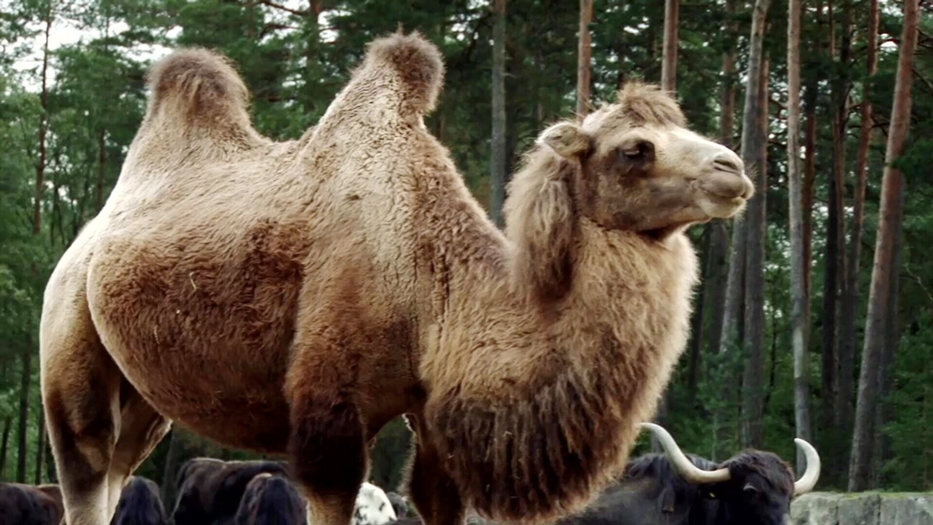 12. Kameler tittar in i kameran