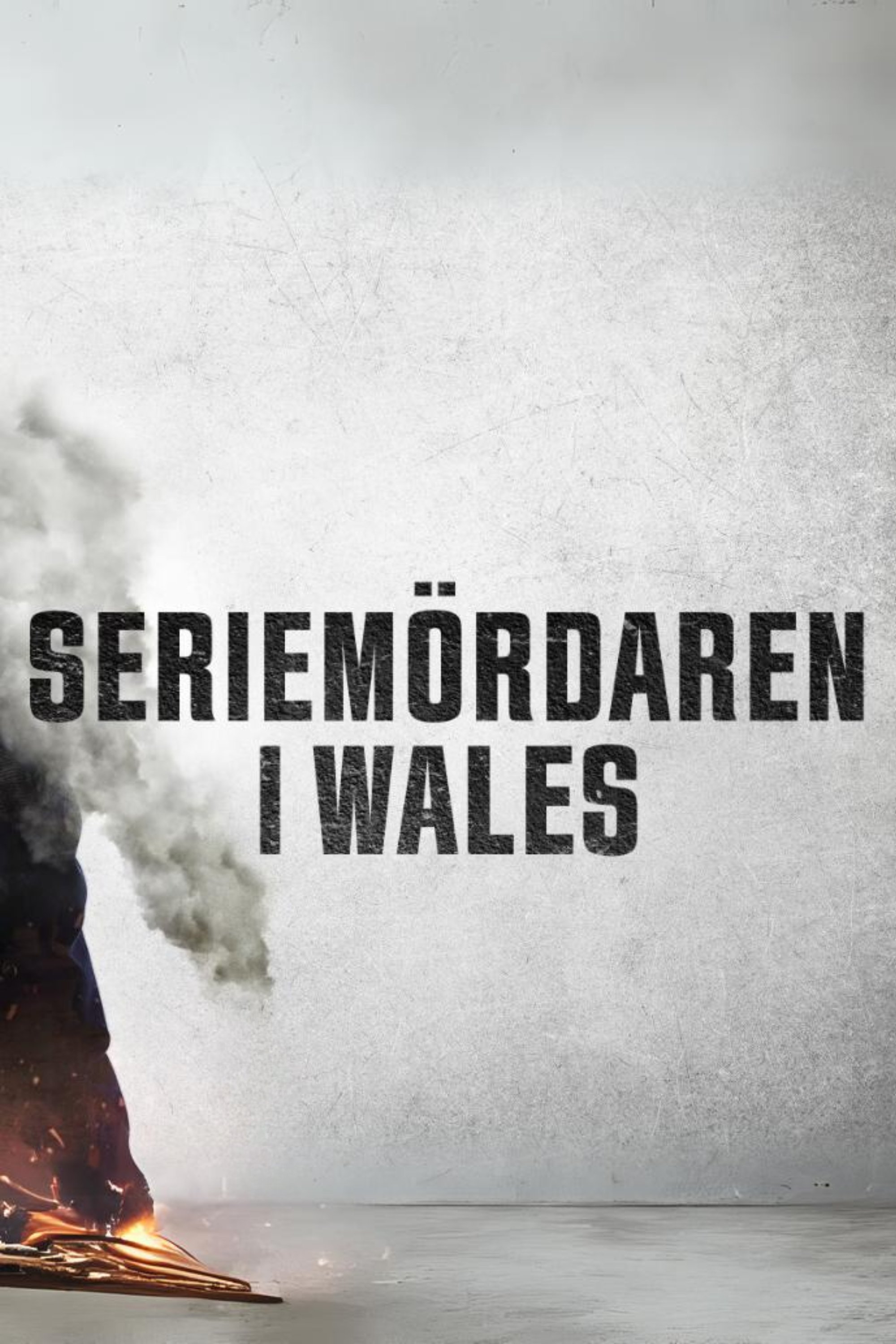 Seriemördaren i Wales